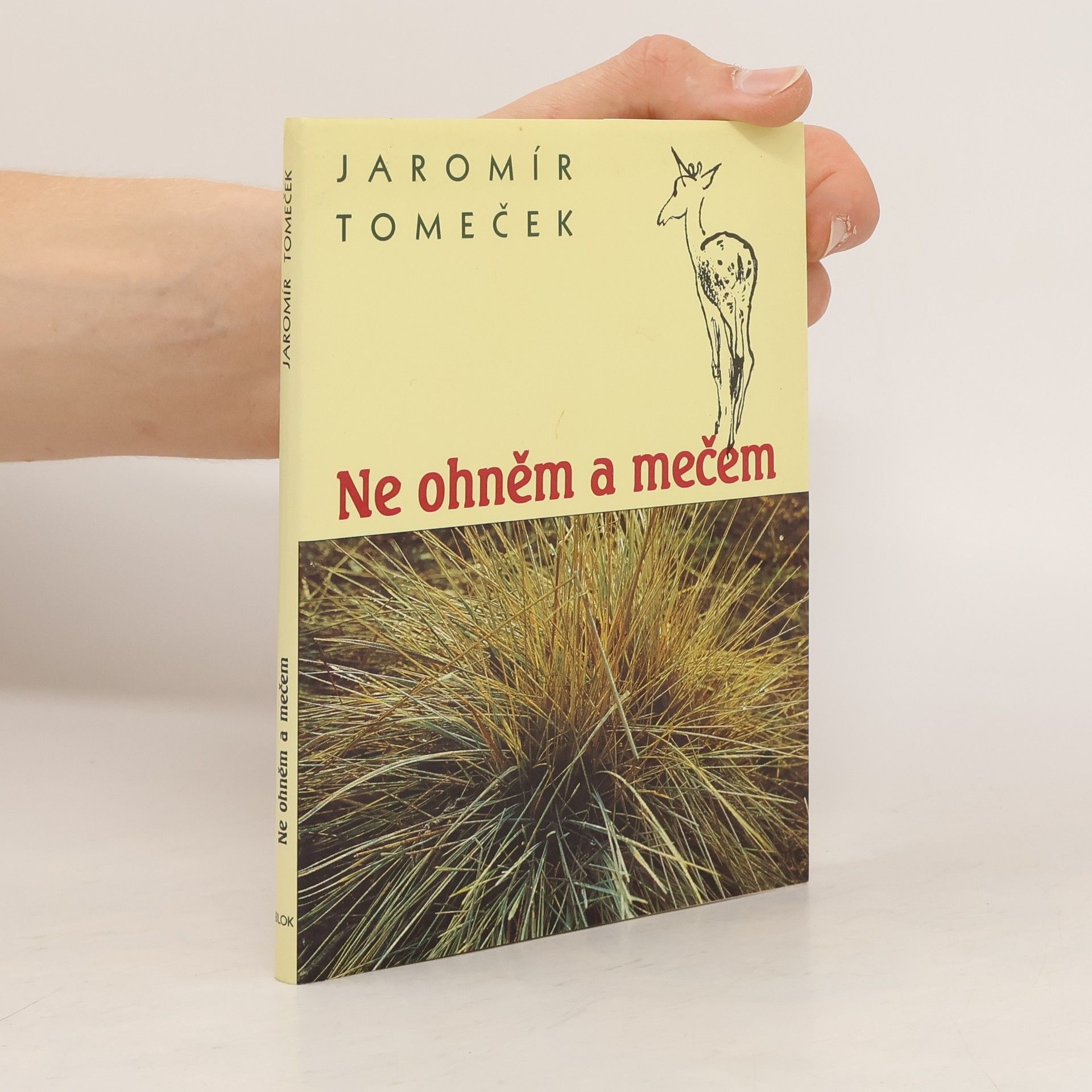 Jaromír Tomeček Ne ohněm a mečem