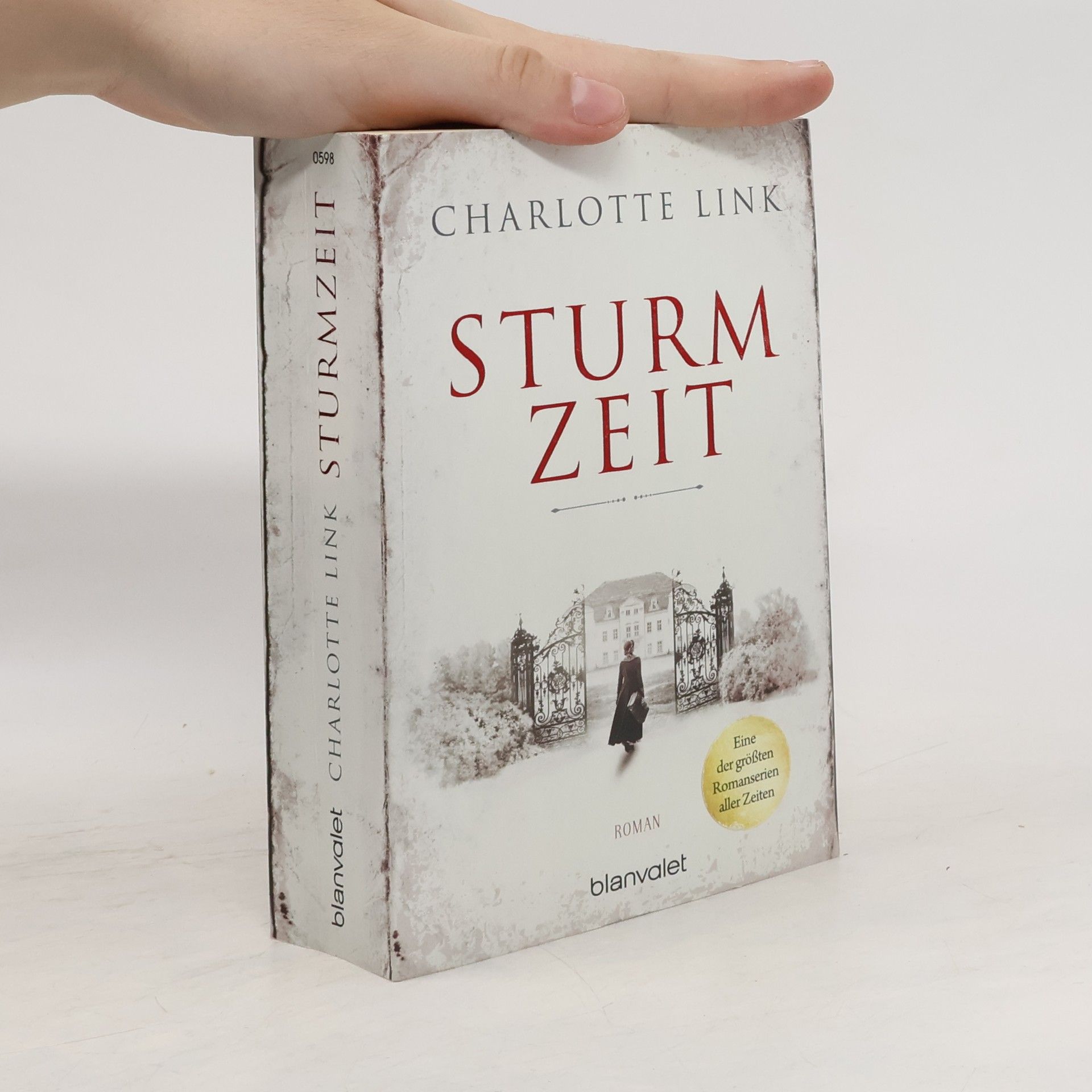Charlotte Link Sturmzeit