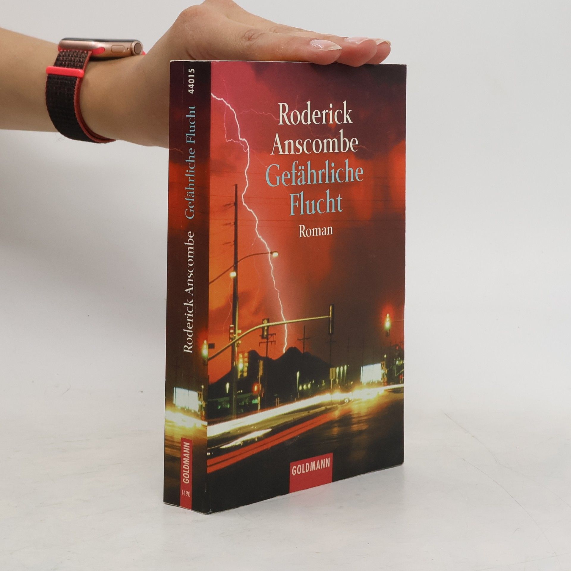Roderick Anscombe Gefährliche Flucht