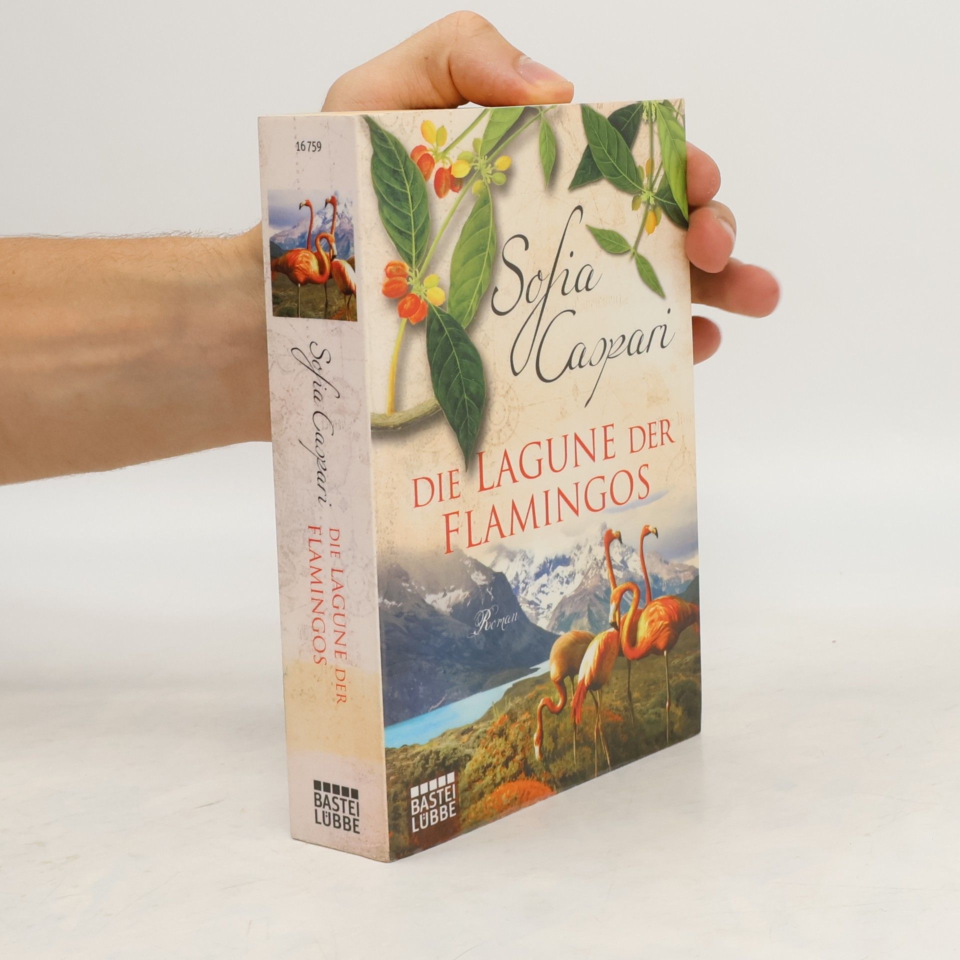 Sofia Caspari Die Lagune der Flamingos
