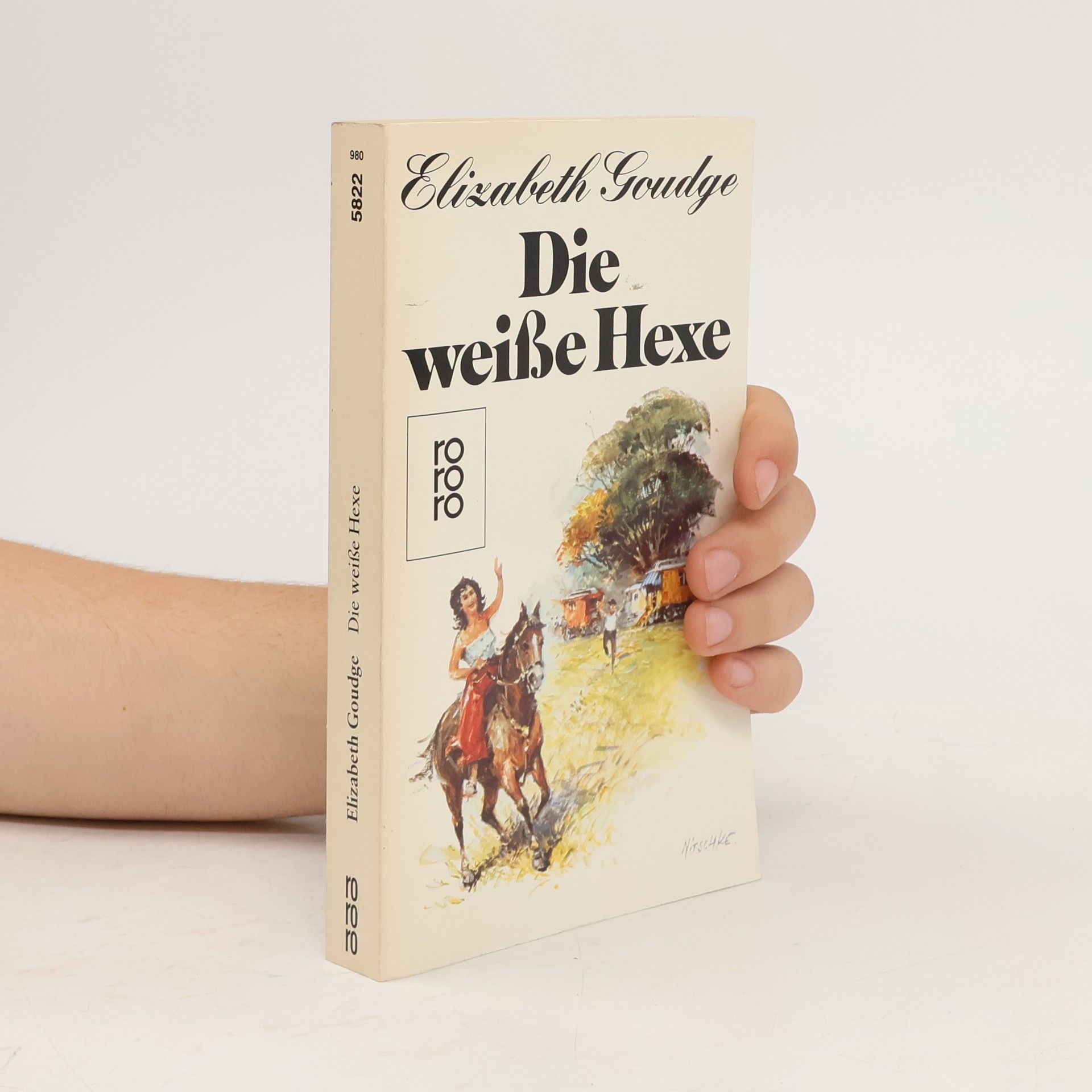 Elizabeth Goudgeová Die weiße Hexe. Roman