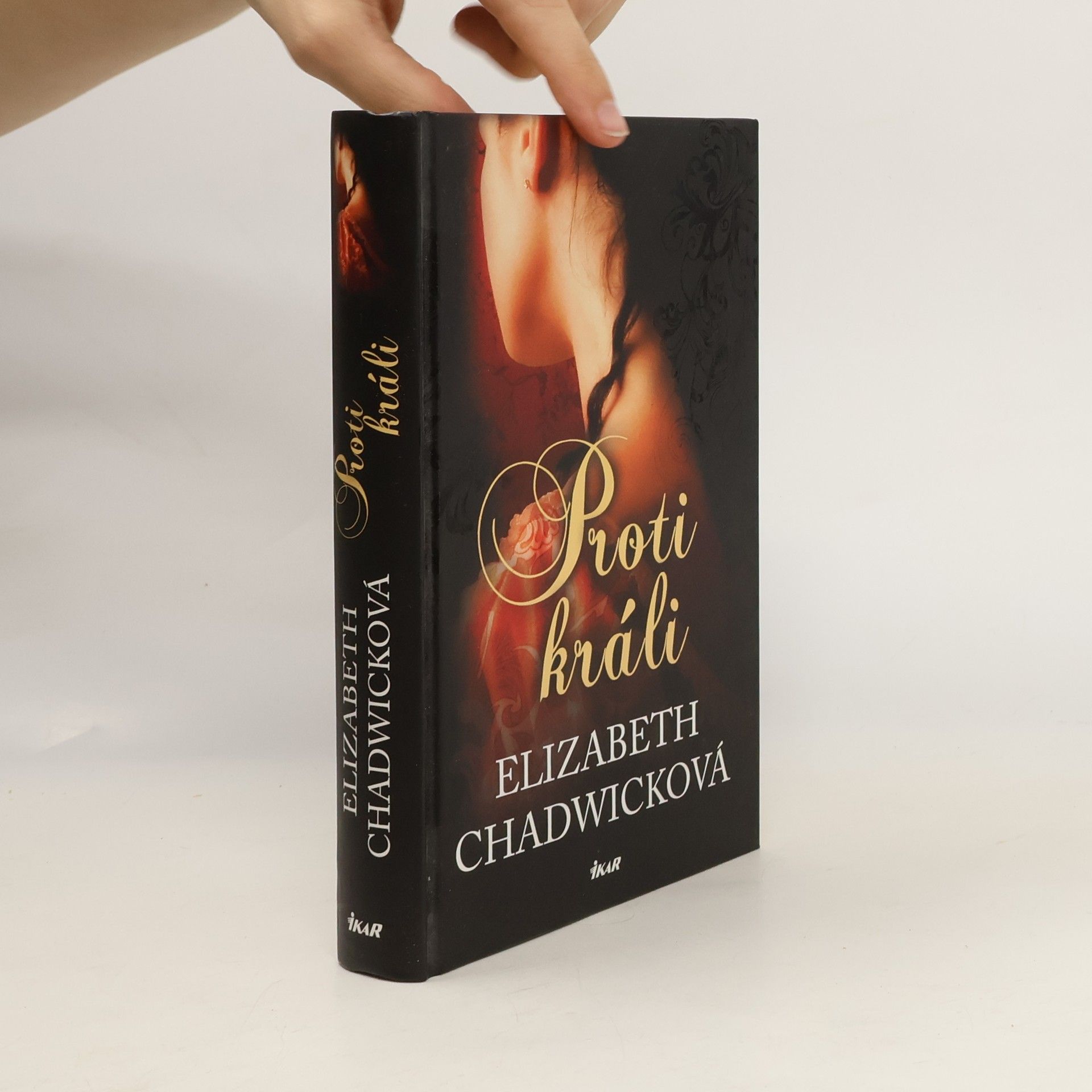 Elizabeth Chadwick Proti králi