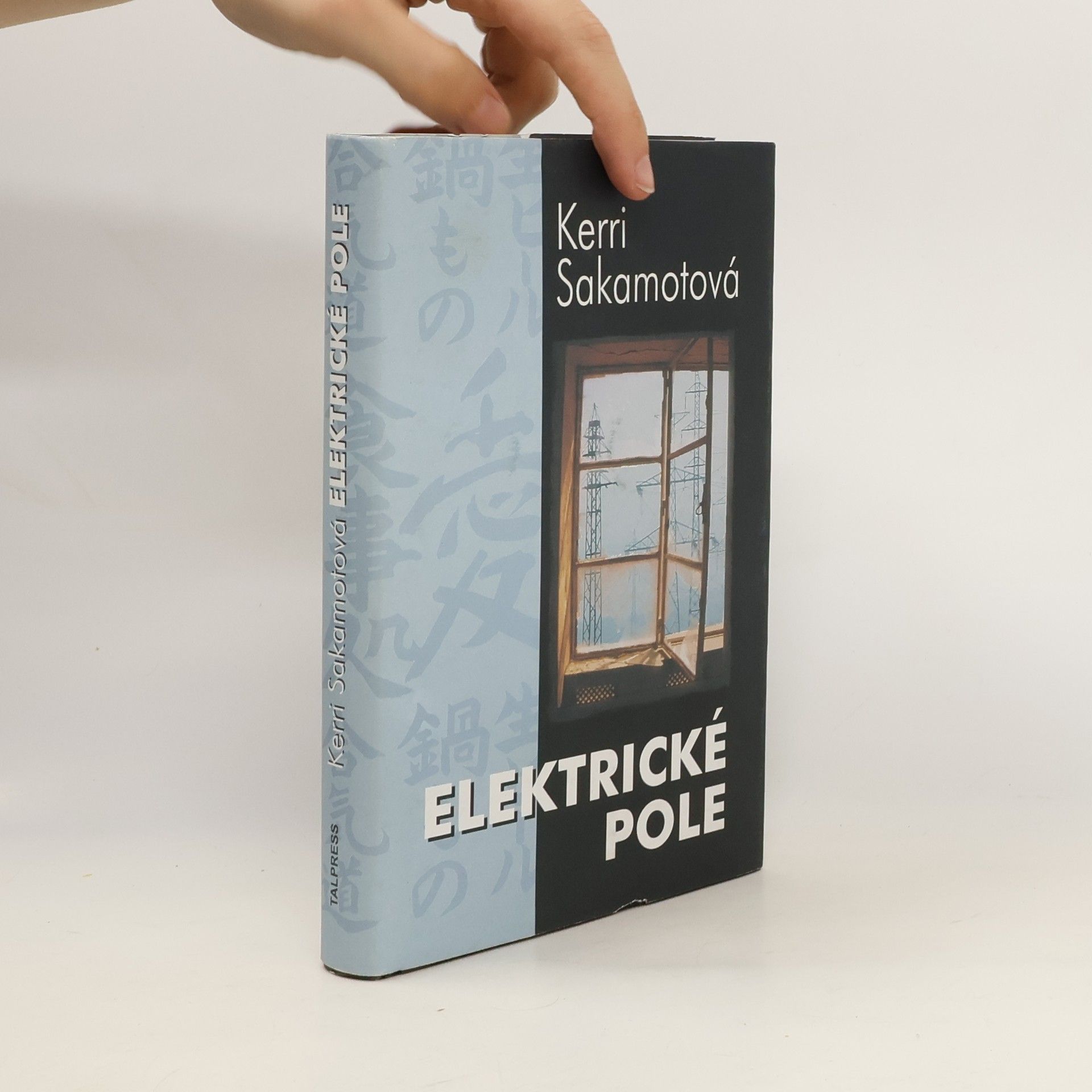 Kerri Sakamoto Elektrické pole