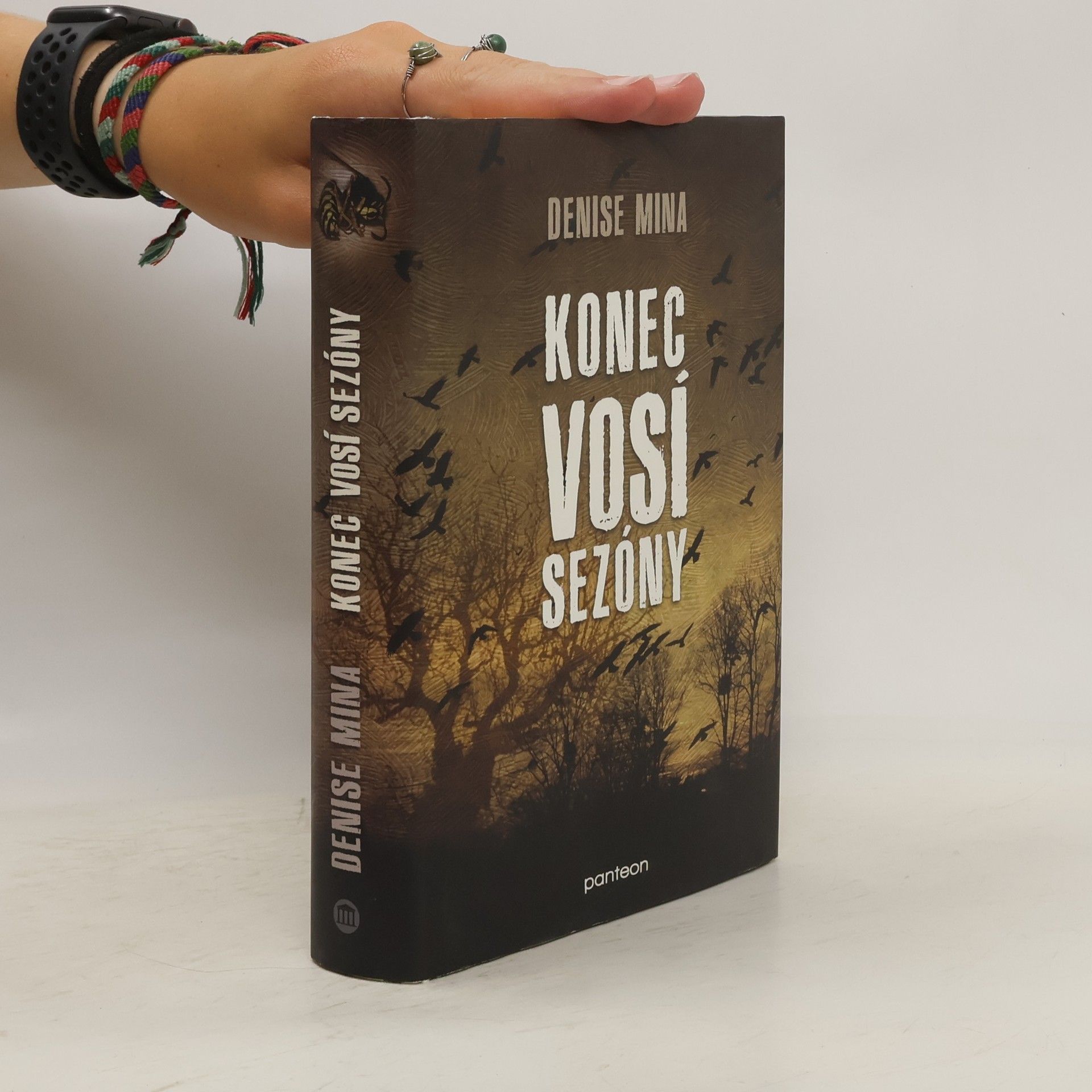 Denise Mina Konec vosí sezóny