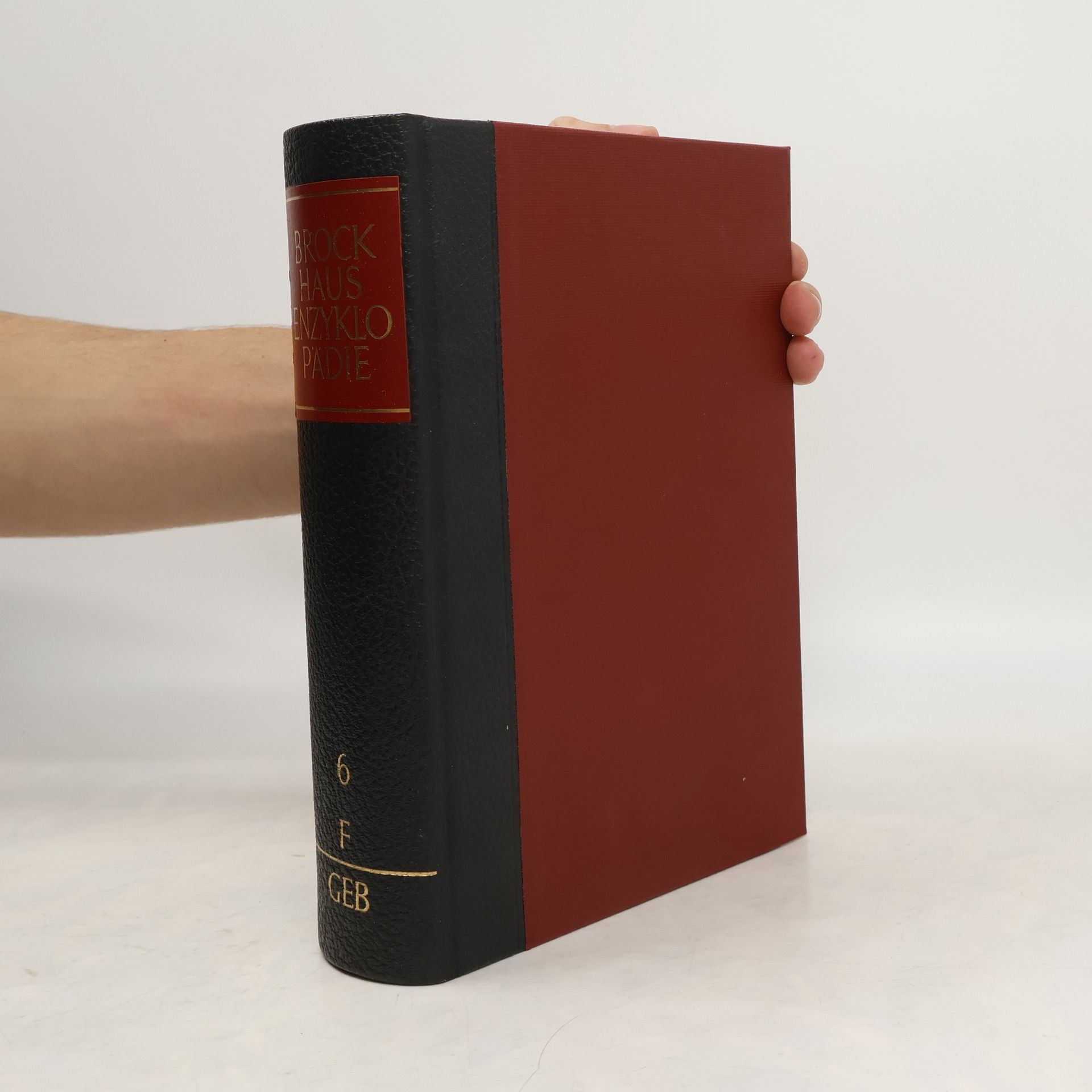Autorenkollektiv Brockhaus-Enzyklopädie 6. F-GEB