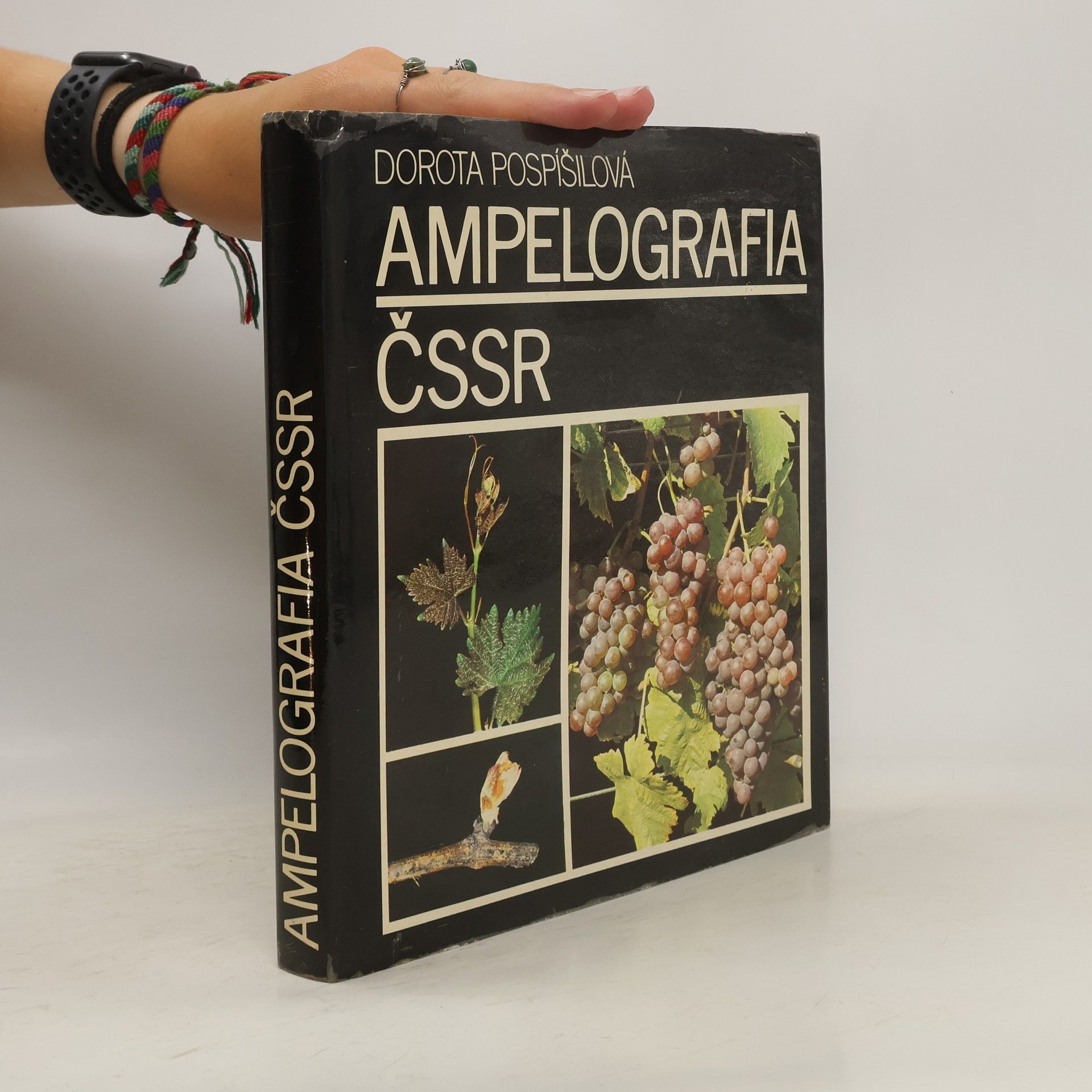 Dorota Pospíšilová Ampelografia ČSSR
