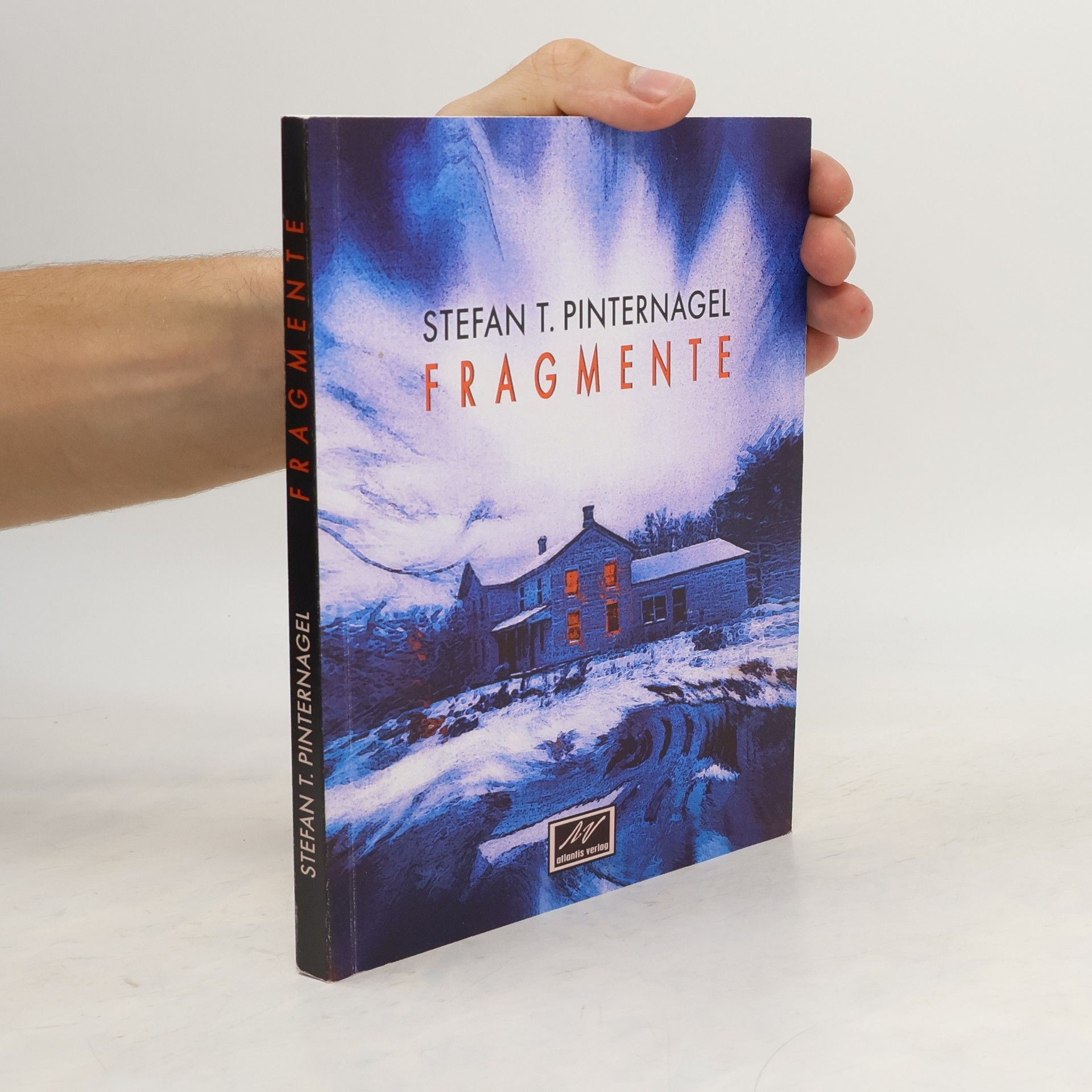 Stefan T. Pinternagel Fragmente