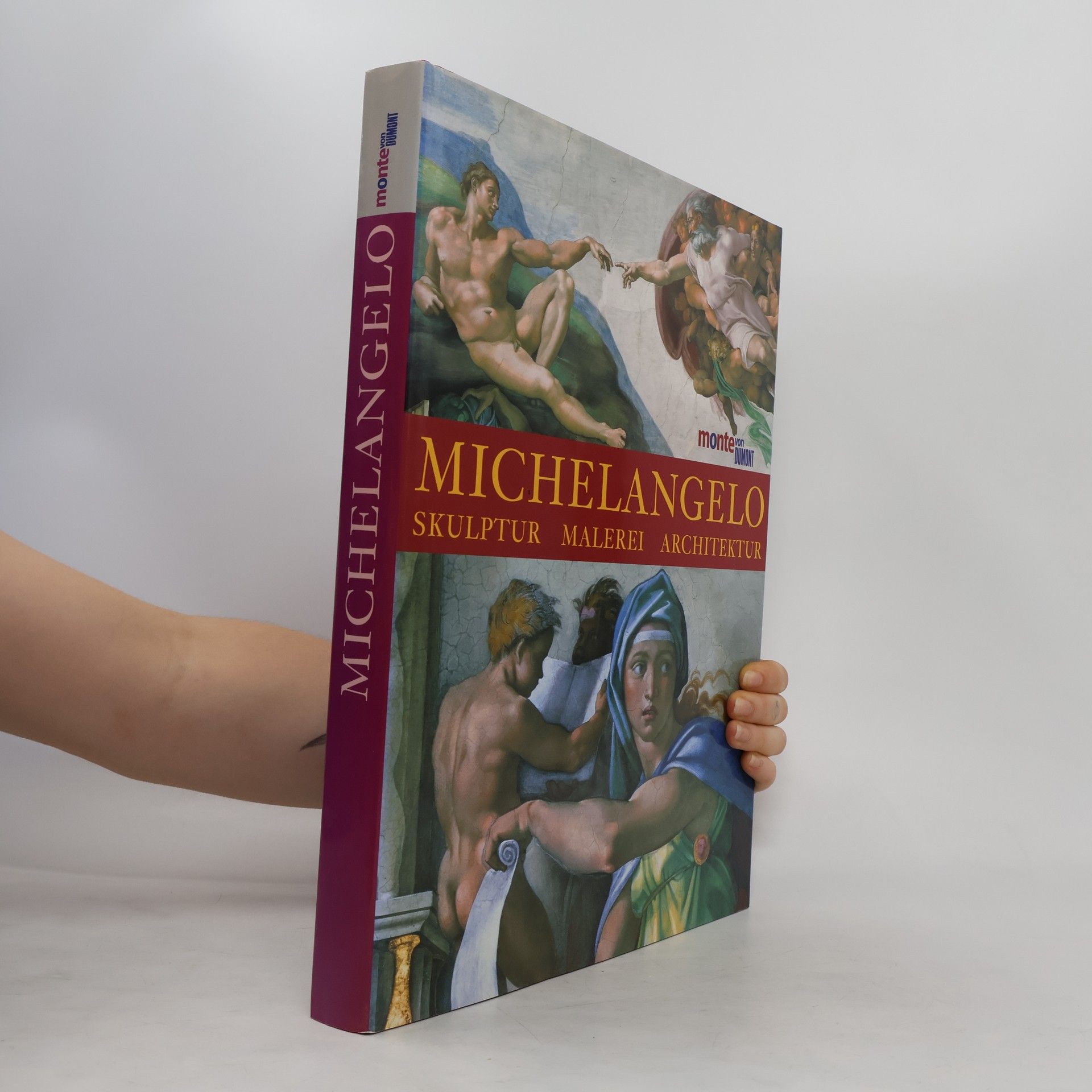 William E. Wallace Michelangelo