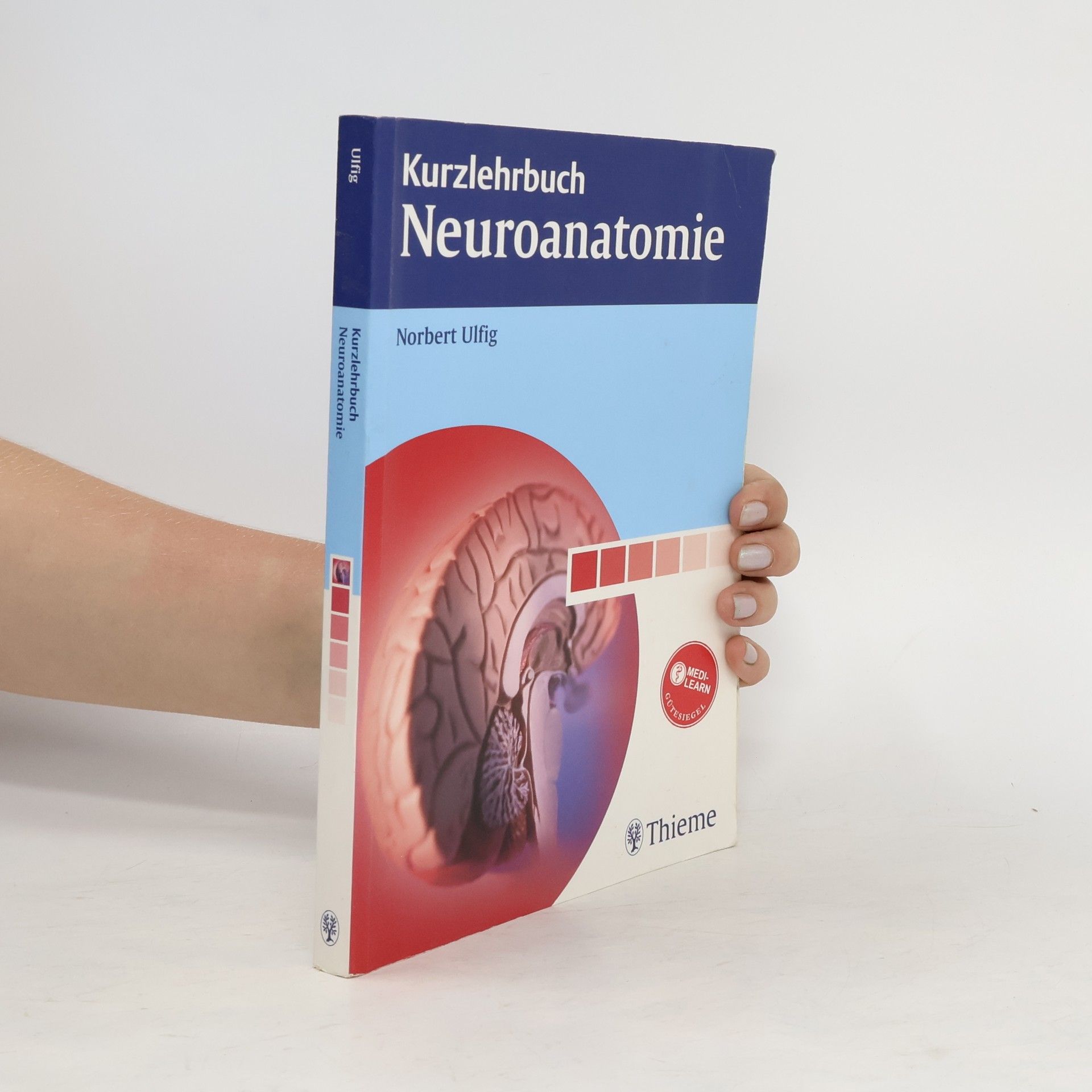 Norbert Ulfig Kurzlehrbuch Neuroanatomie