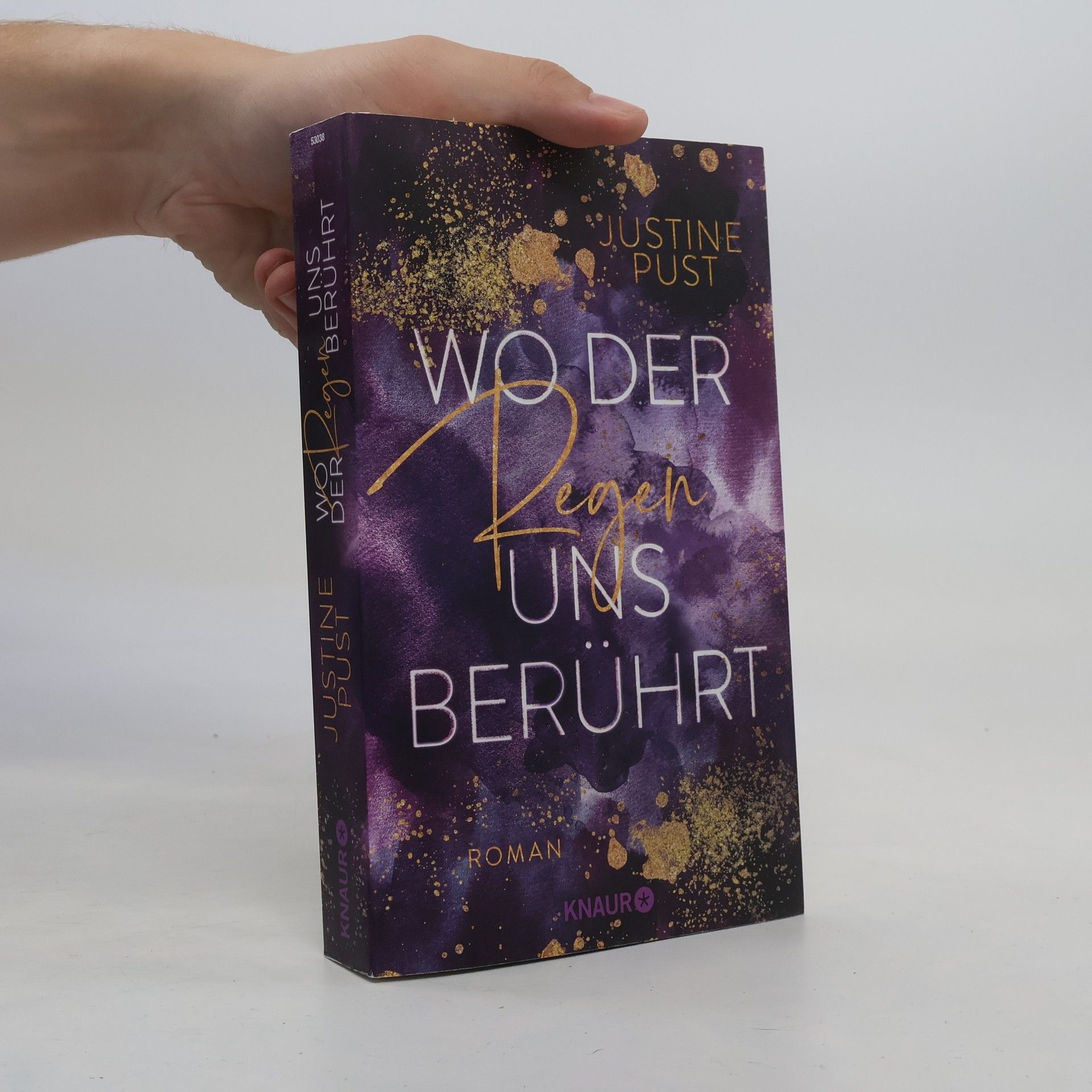Justine Pust Wo der Regen uns berührt / Die Skyline-Reihe Bd.2