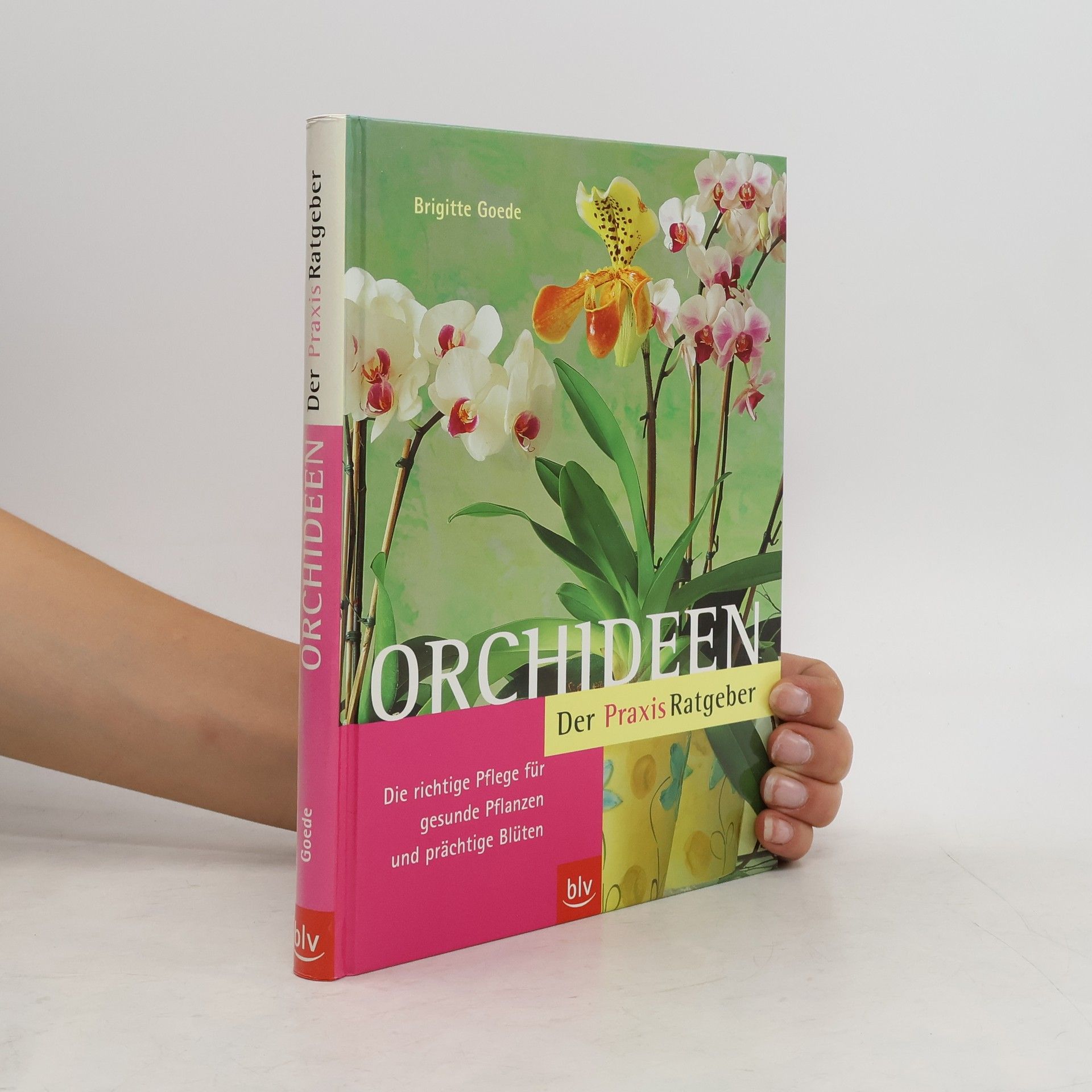 Brigitte Goede Orchideen