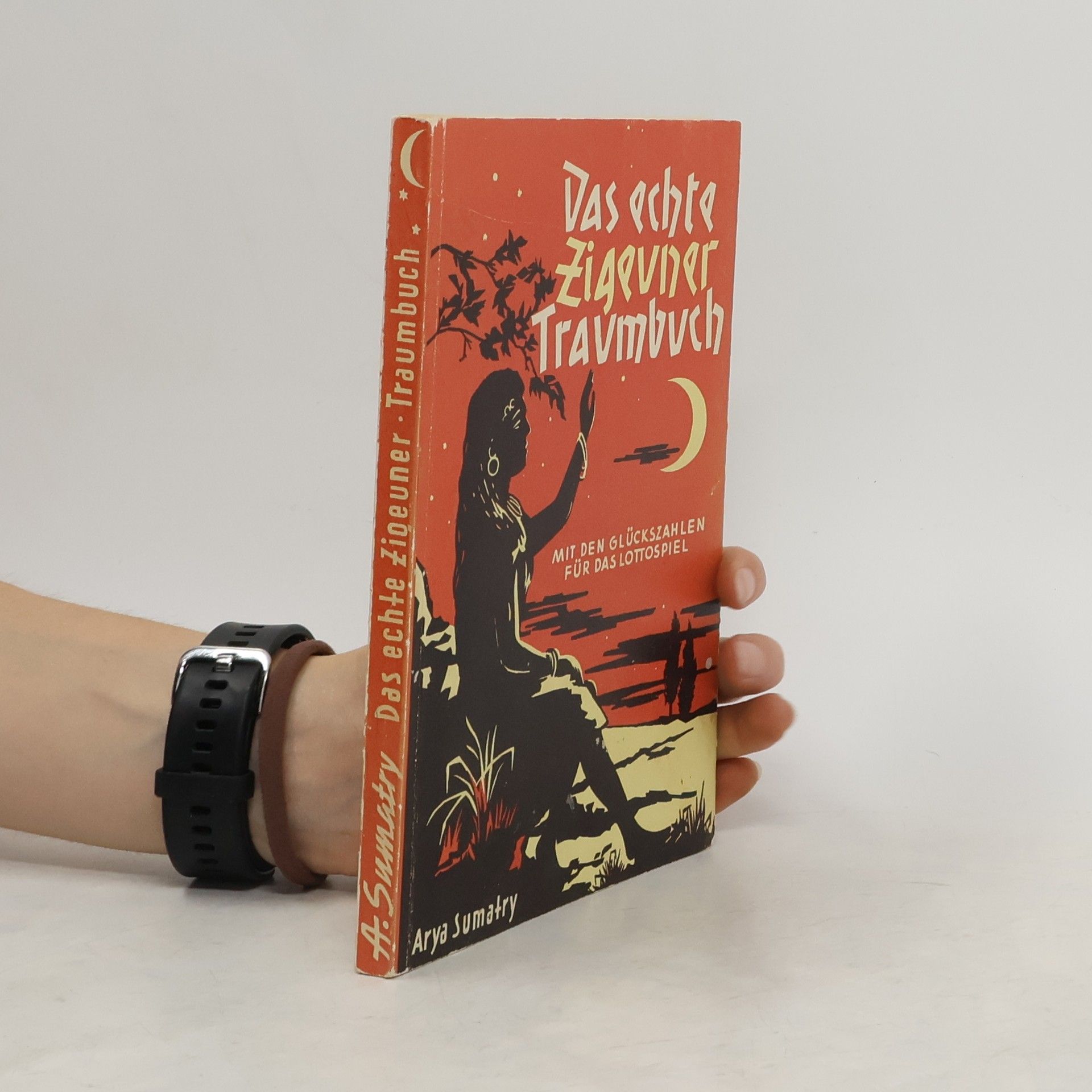 Arya Sumatry Das echte Zigeuner-Traumbuch