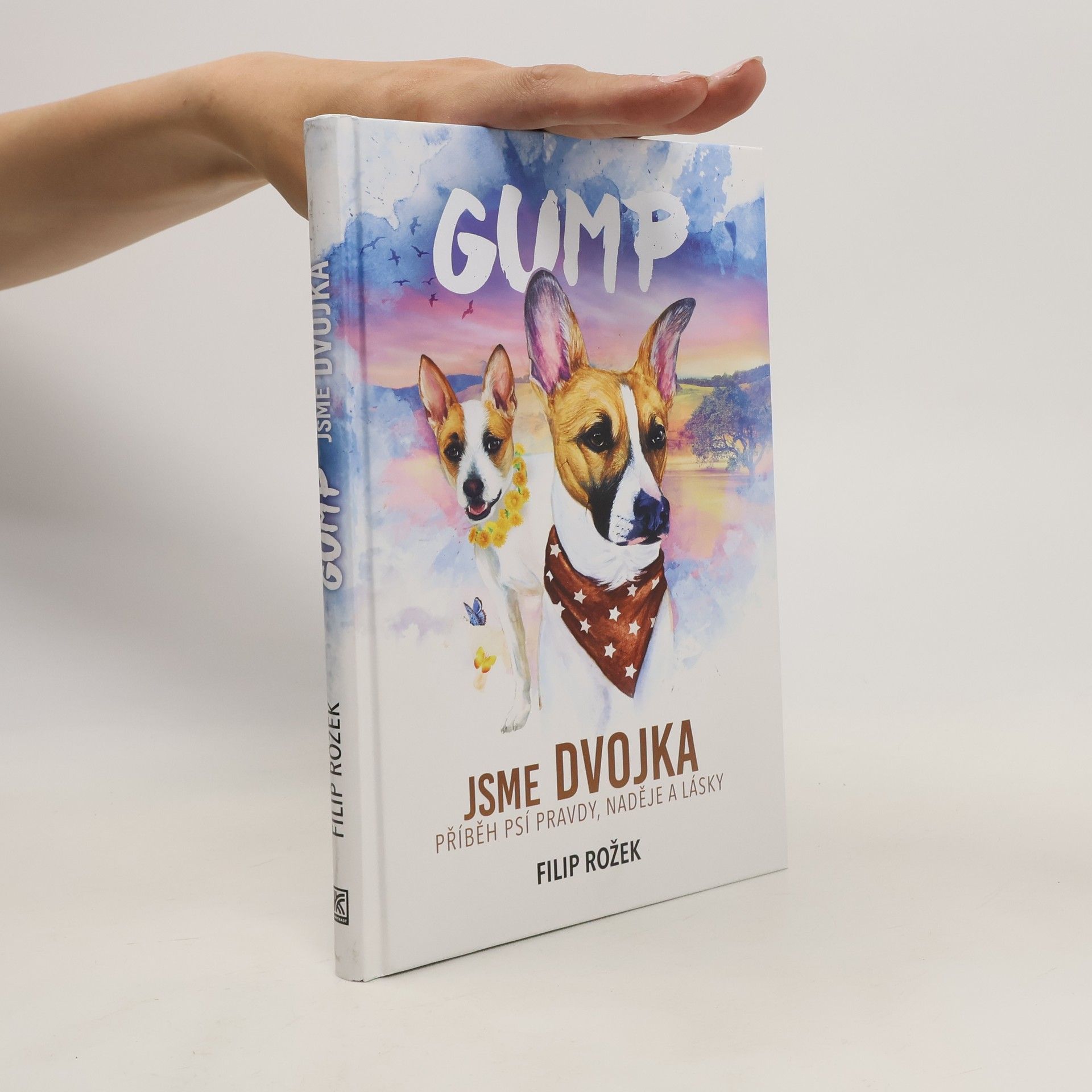 Filip Rožek Gump jsme dvojka: Příběh psí pravdy, naděje a lásky