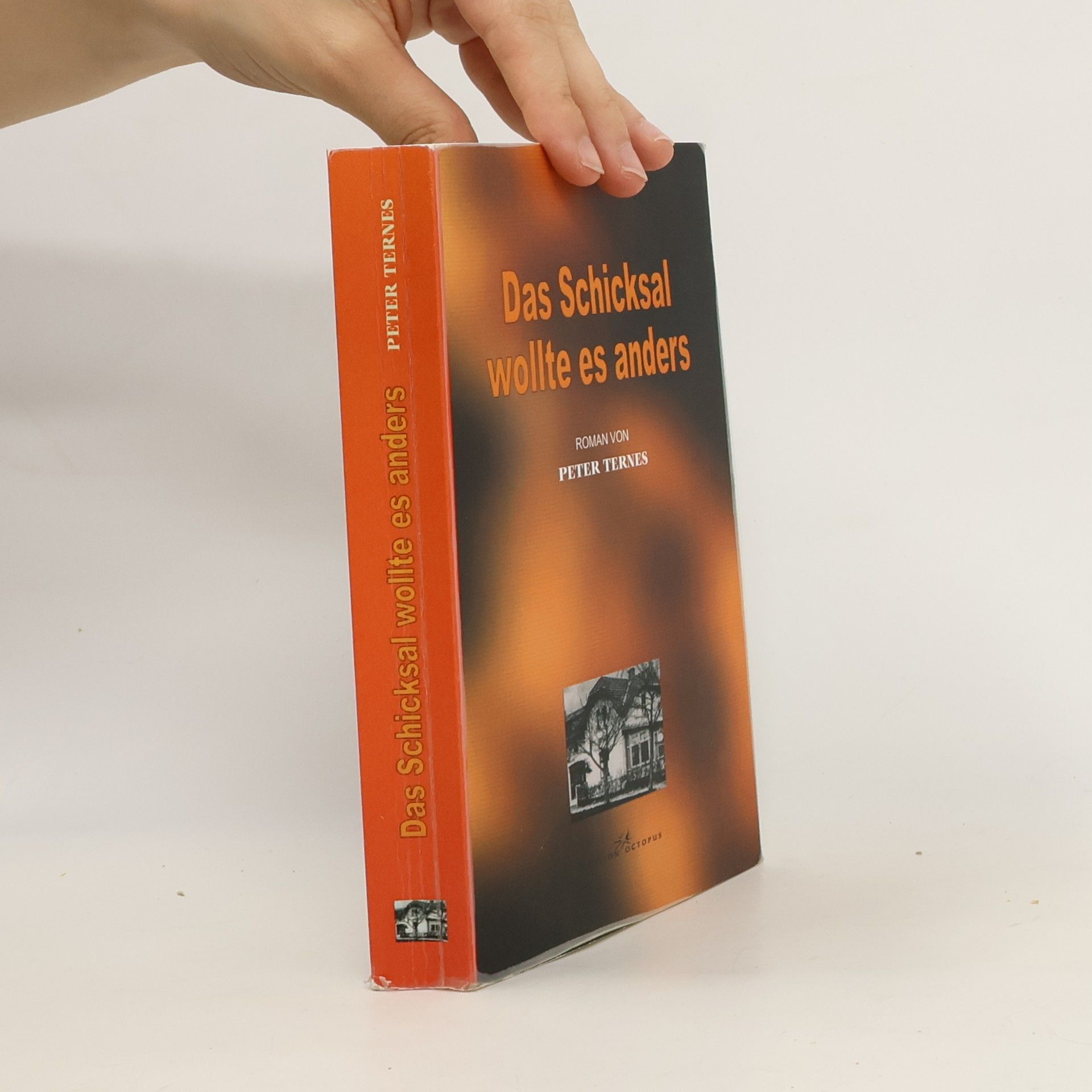 Peter Ternes Das Schicksal wollte es anders