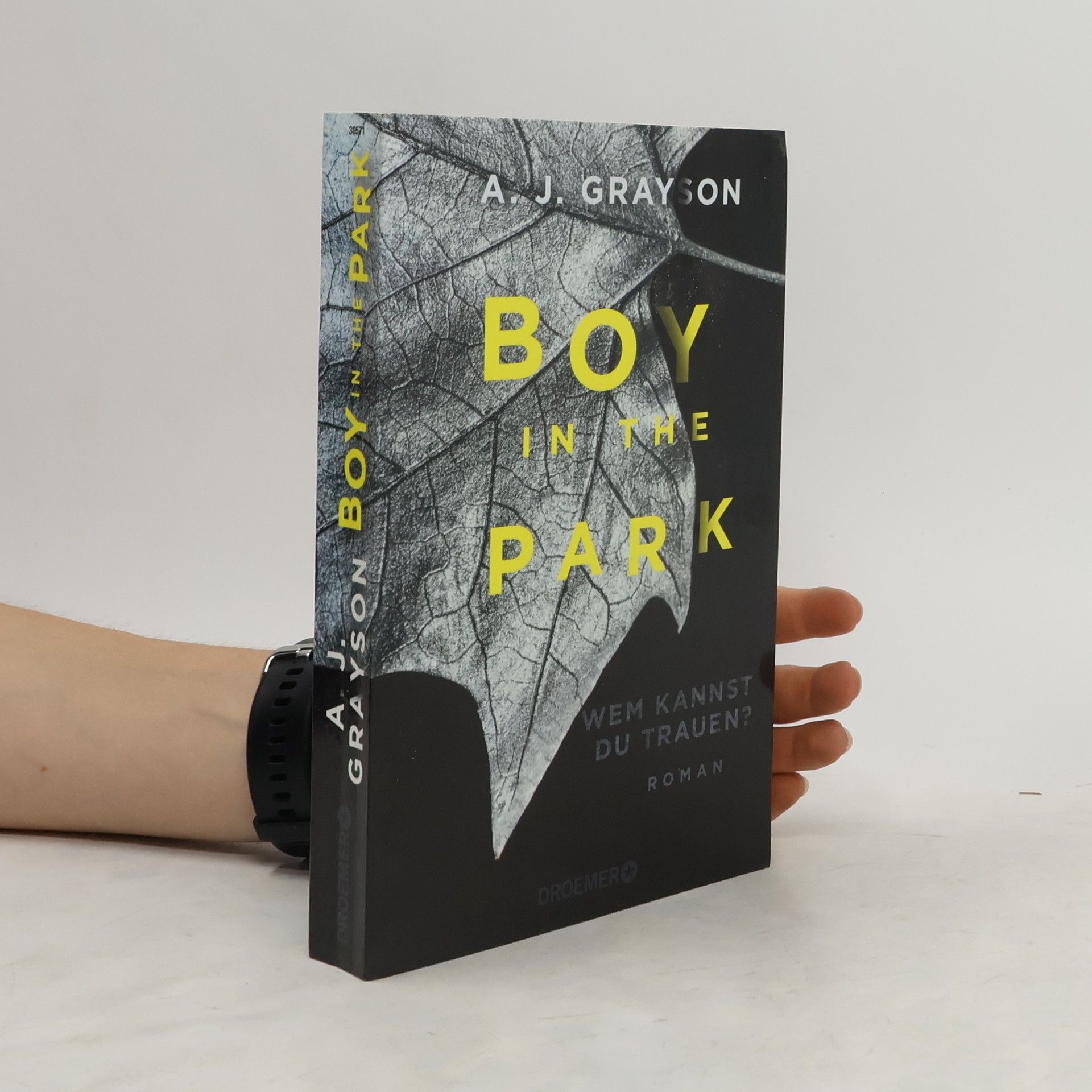 A. J. Grayson Boy in the park