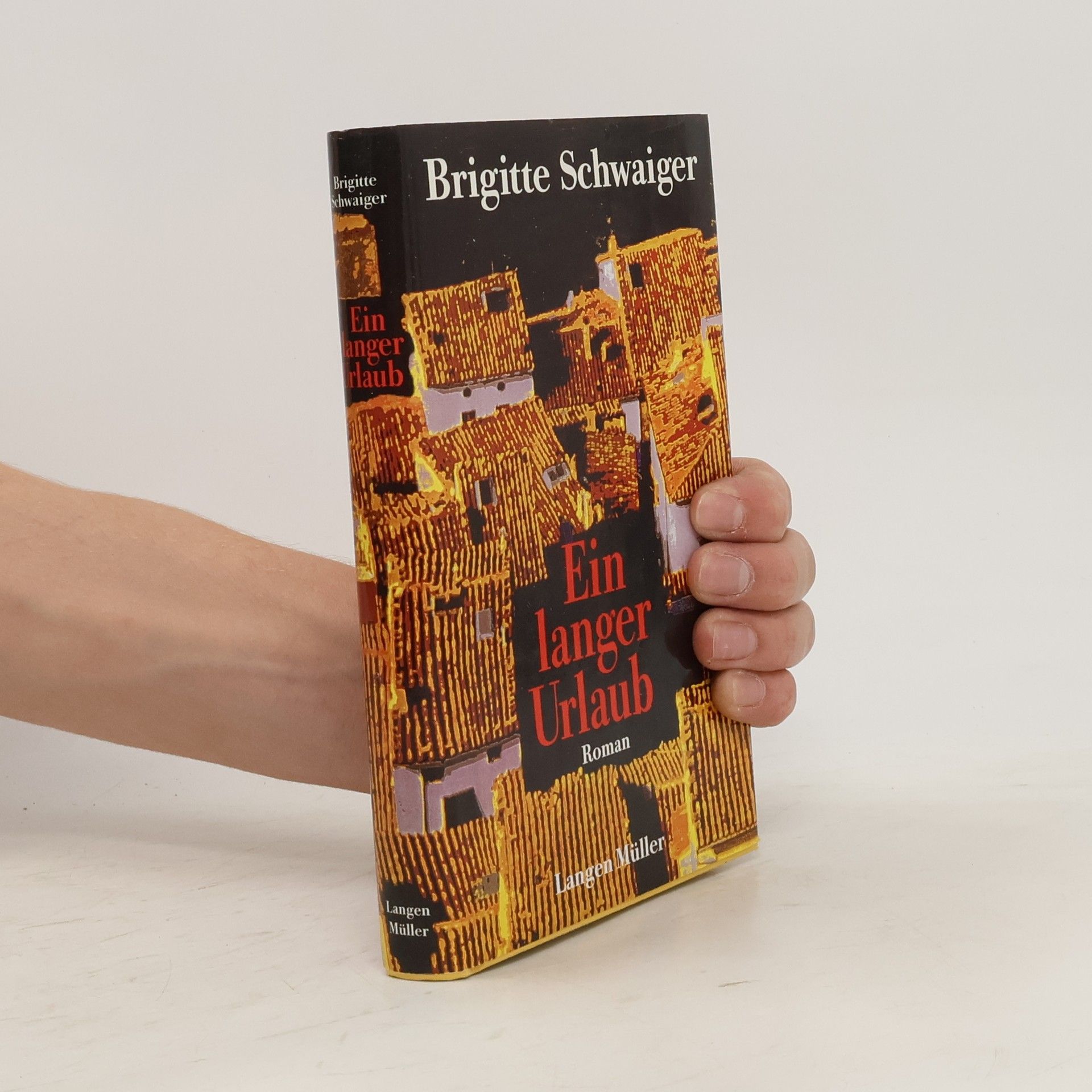 Brigitte Schwaiger Ein langer Urlaub