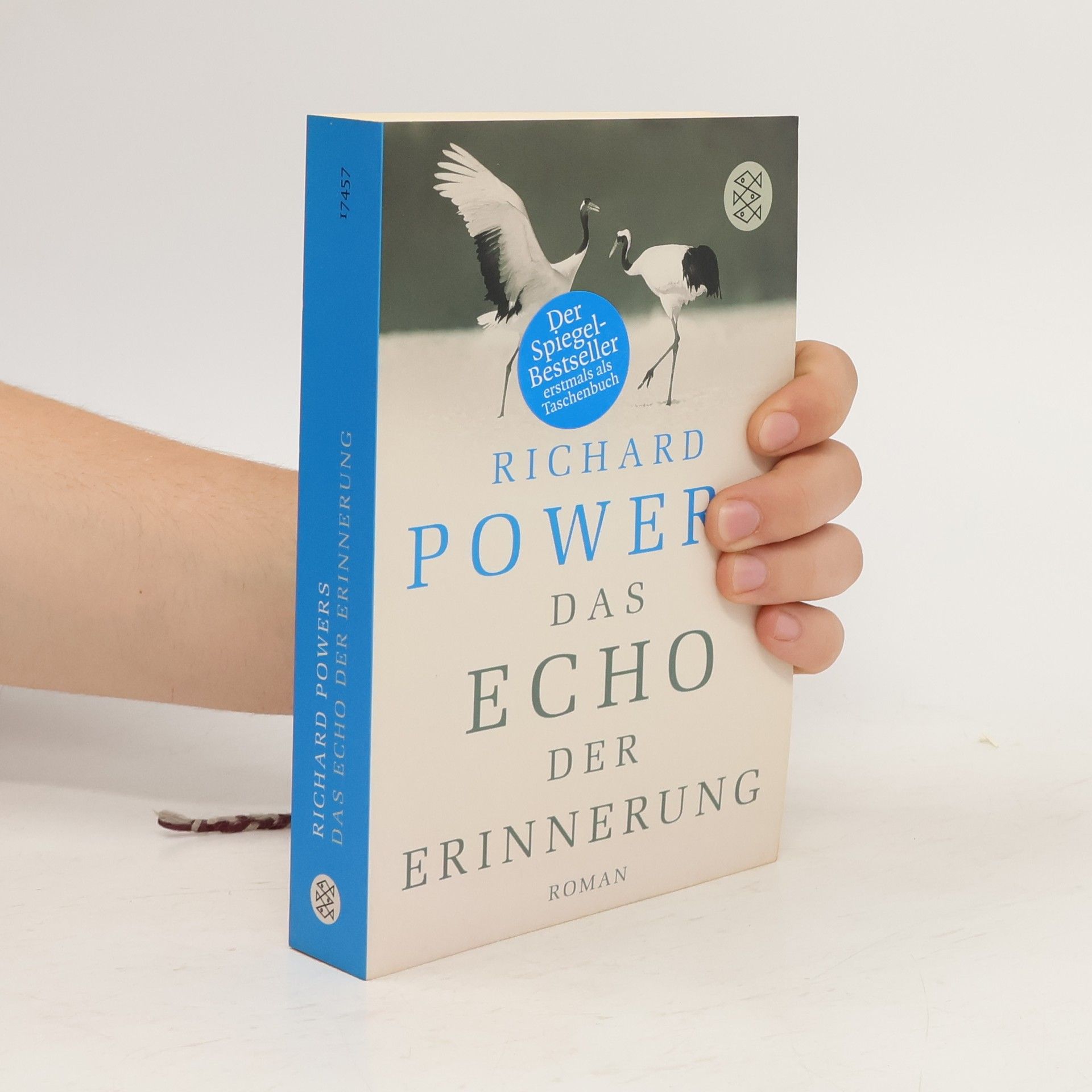 Richard Powers Das Echo der Erinnerung
