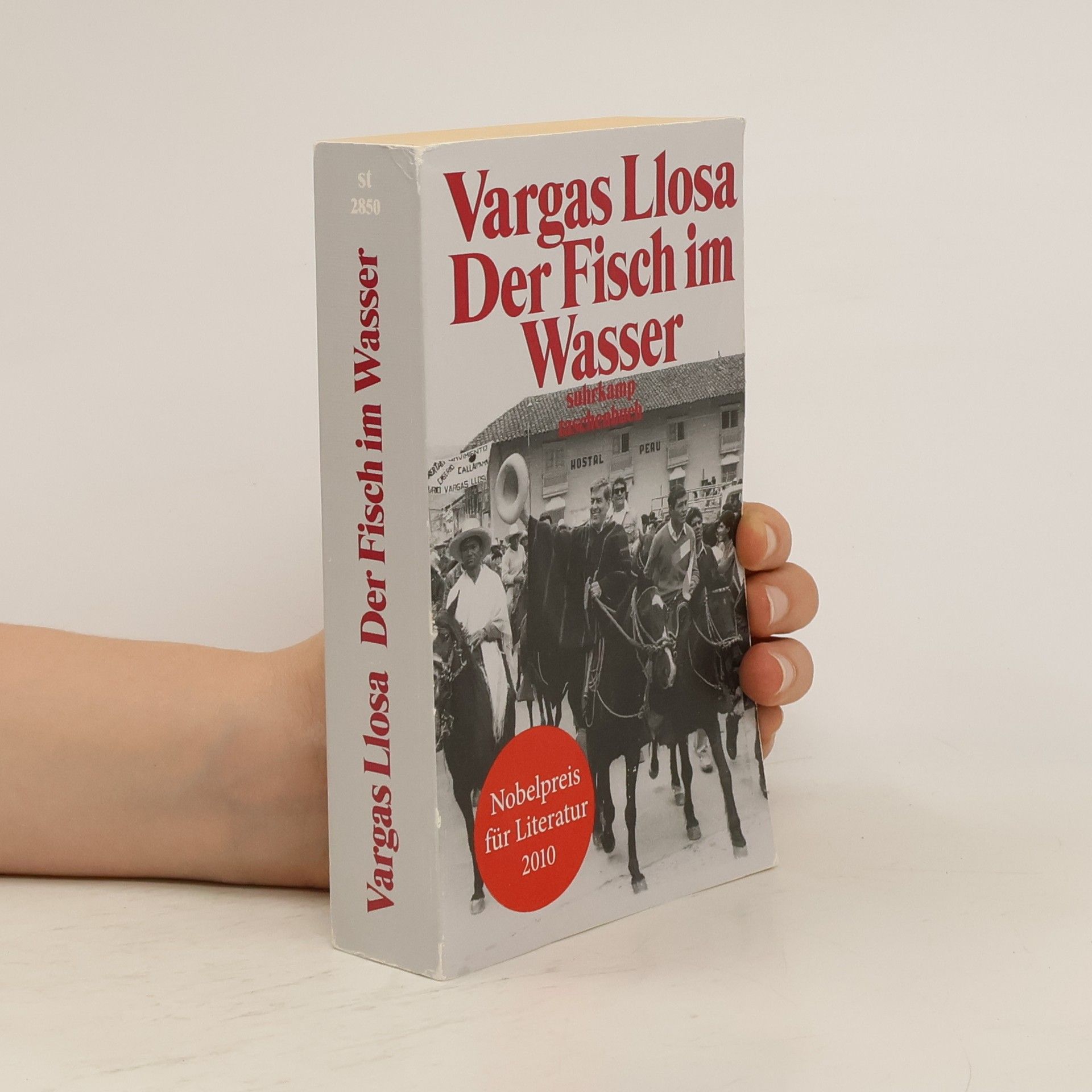 Mario Vargas Llosa Der Fisch im Wasser