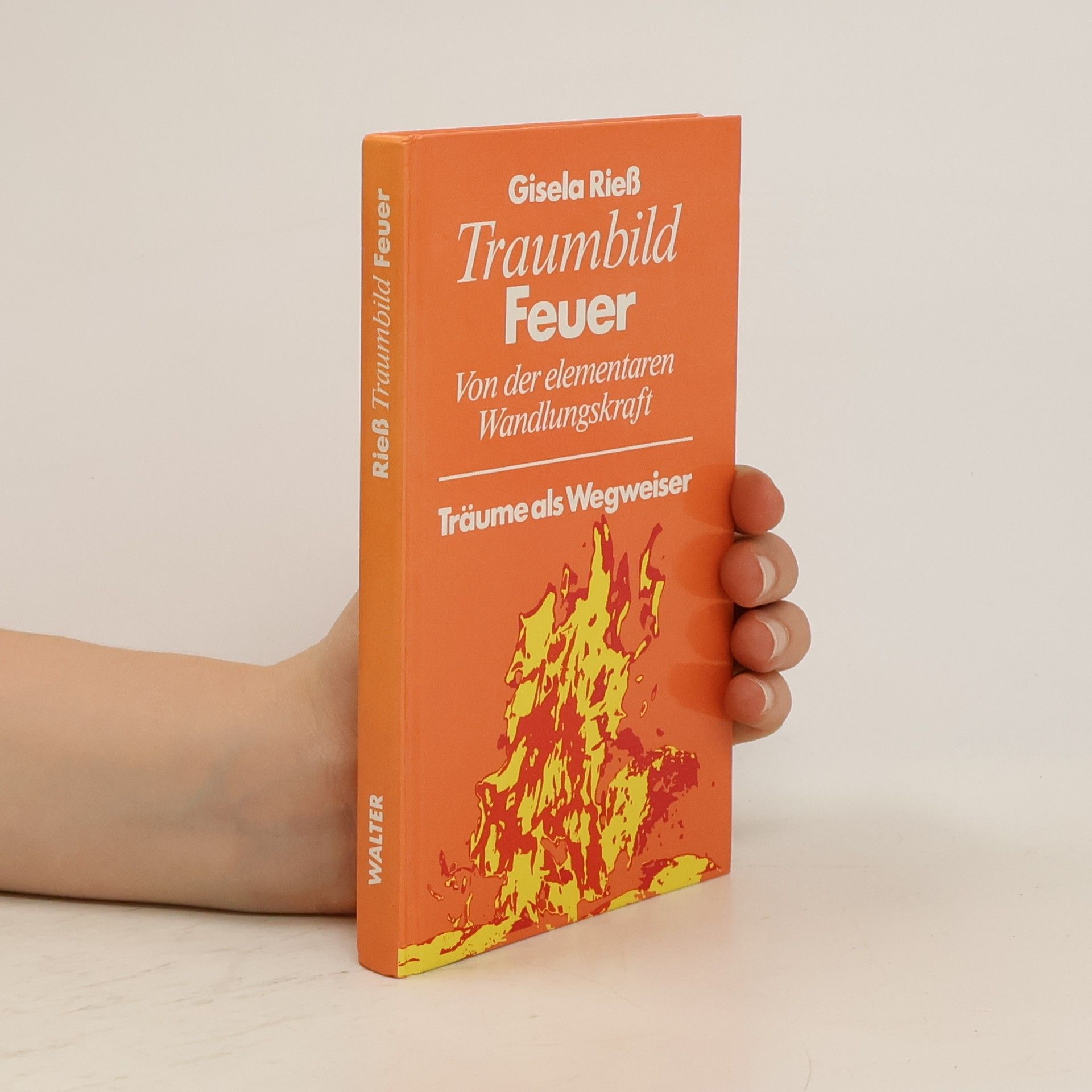 Gisela Riess Traumbild Feuer