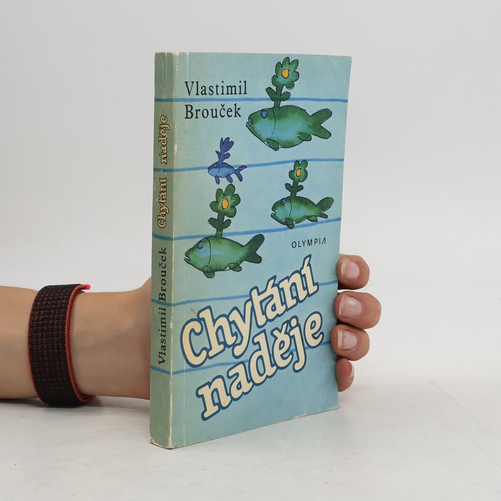 Vlastimil Brouček Chytání naděje