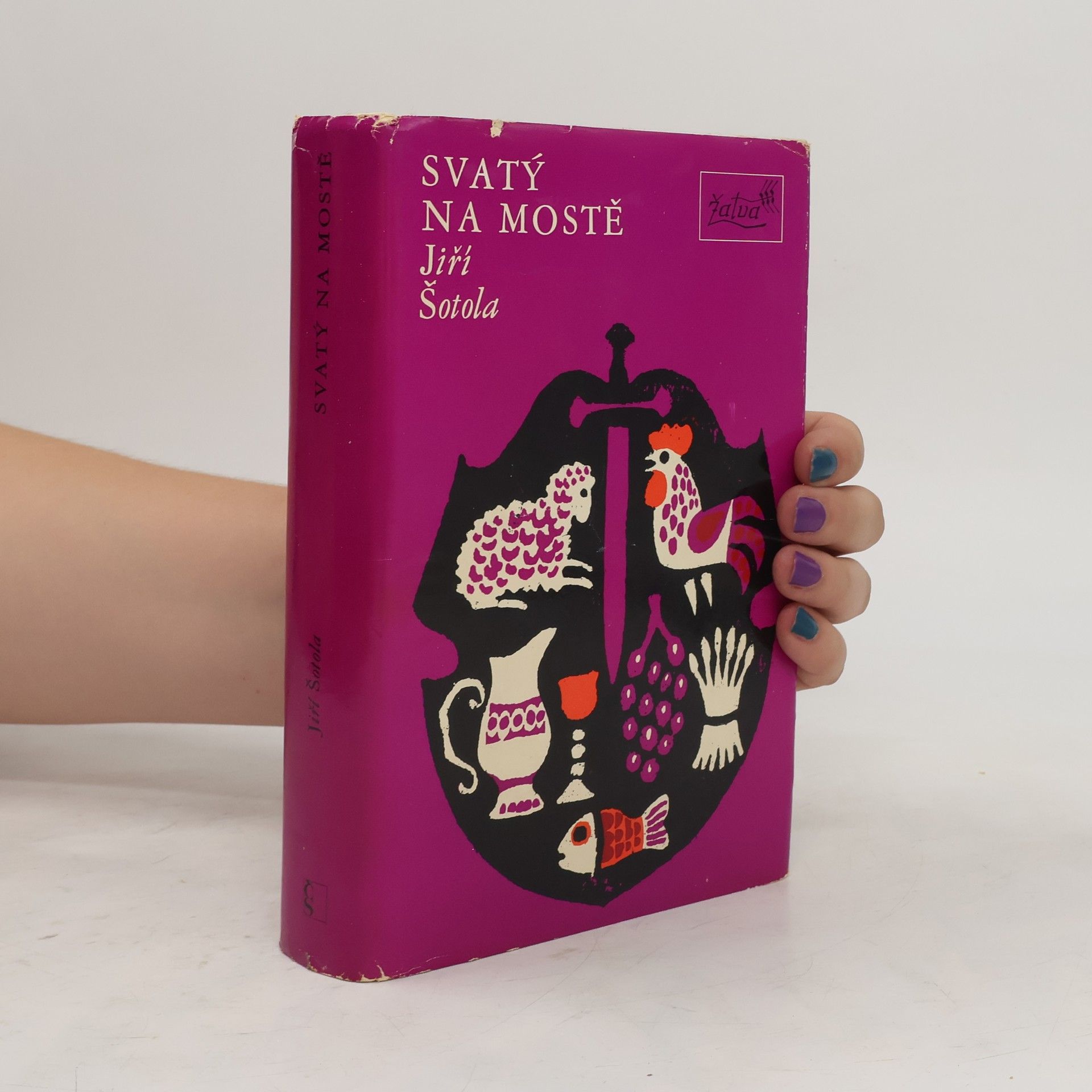 Jiří Šotola Svatý na mostě