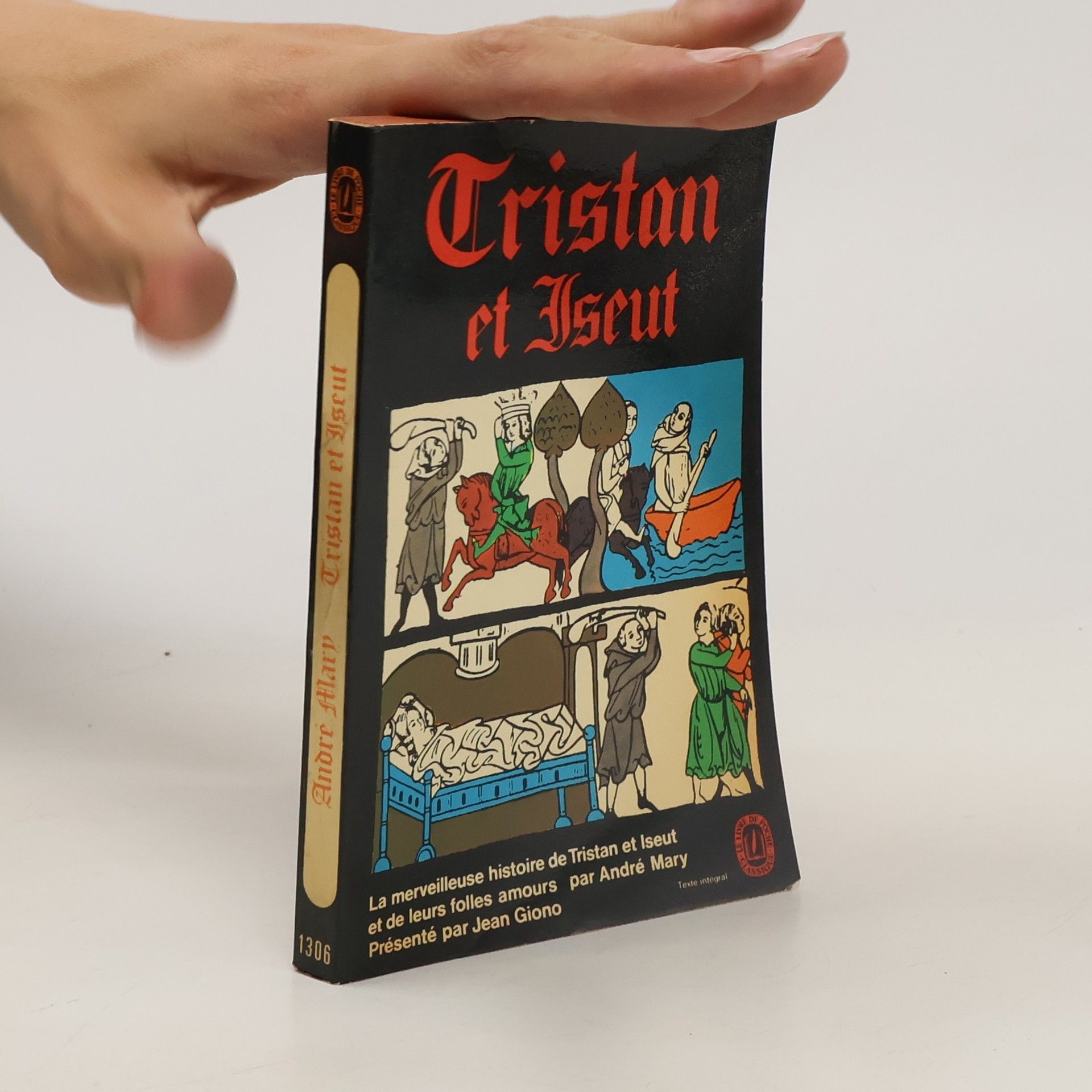 Collectif d'auteurs Cristan et Iseut