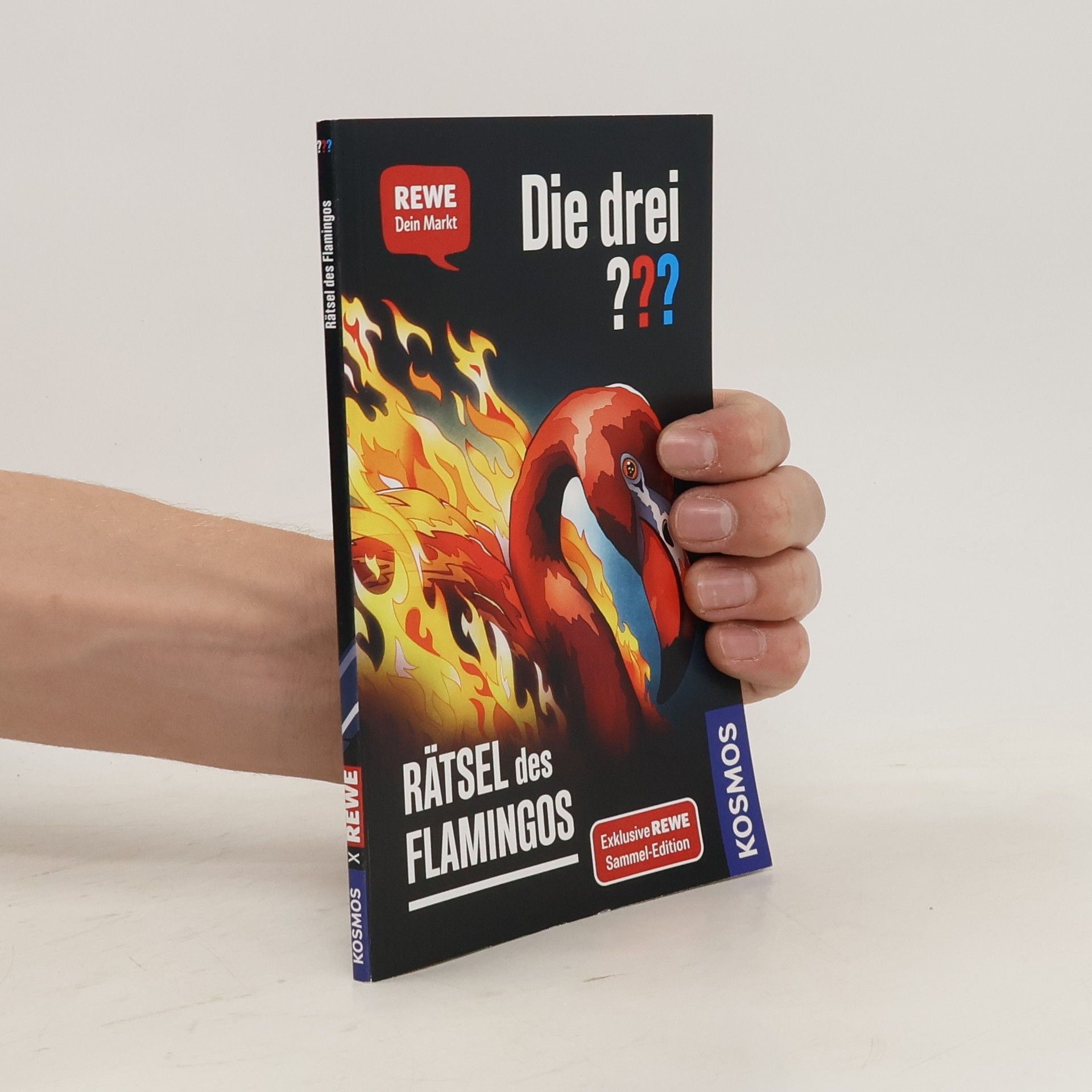 Andreas Ruch Die drei??? Rätsel des Flamingos