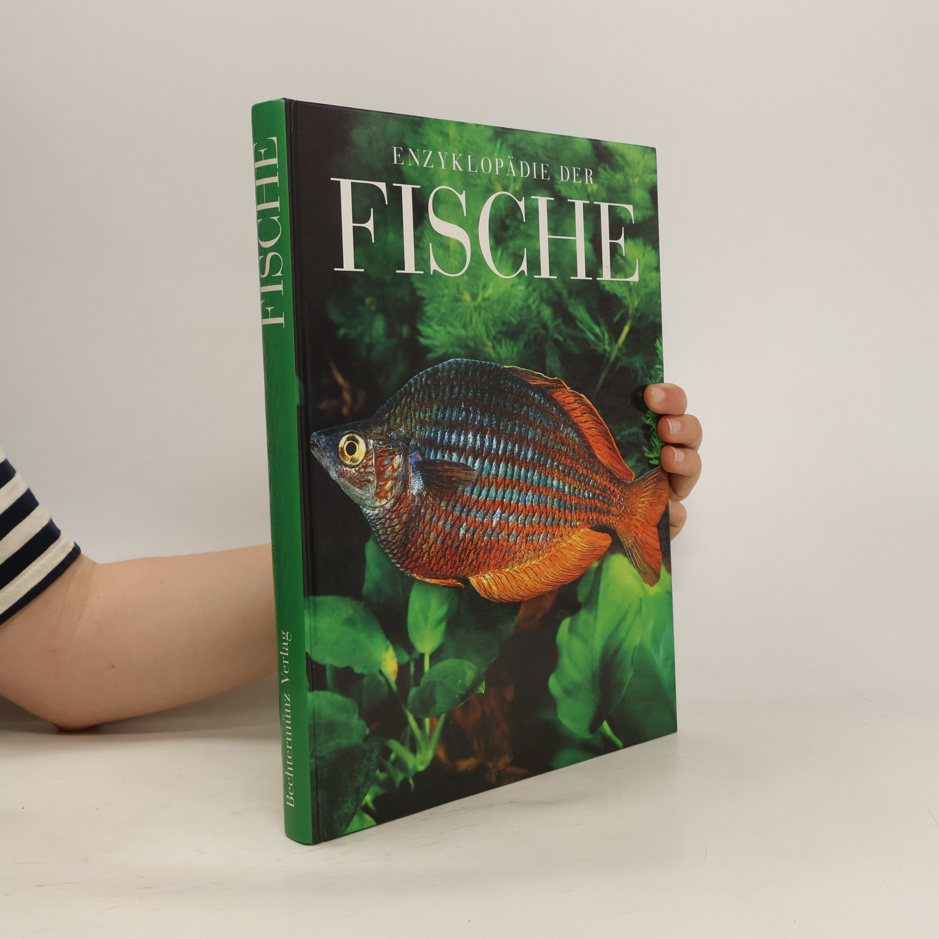 David Kirshner Enzyklopädie der Fische