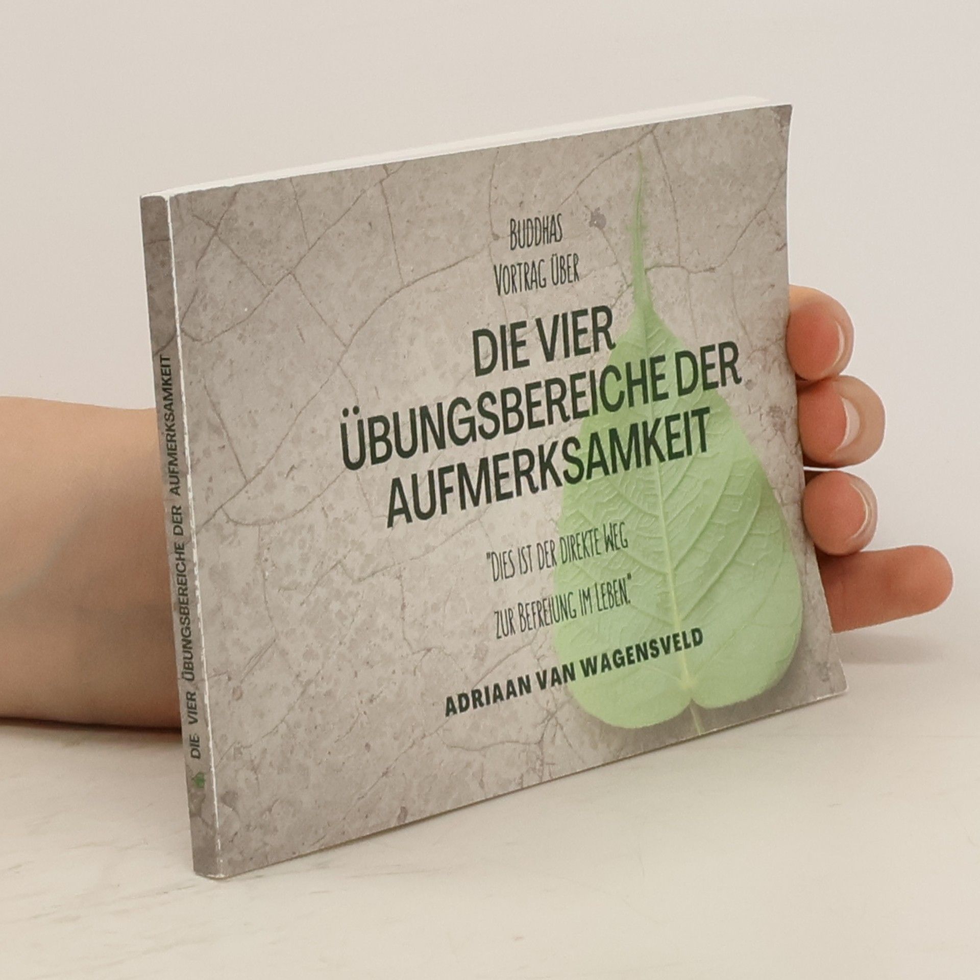 Adriaan van Wagensveld Die vier Übungsbereiche der Aufmerksamkeit