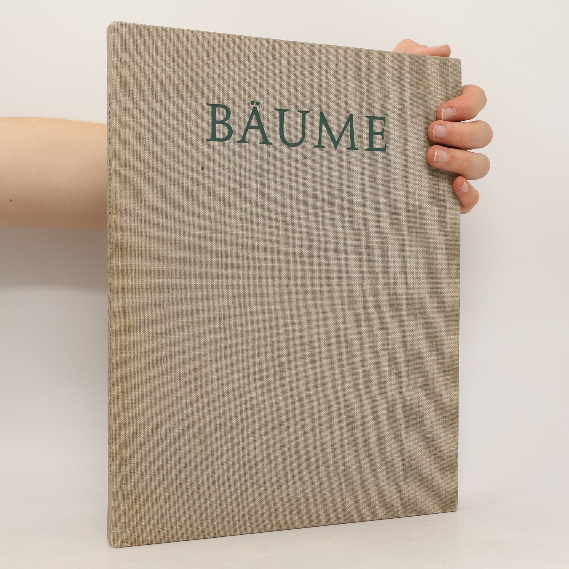 Albert Renger-Patsch Bäume