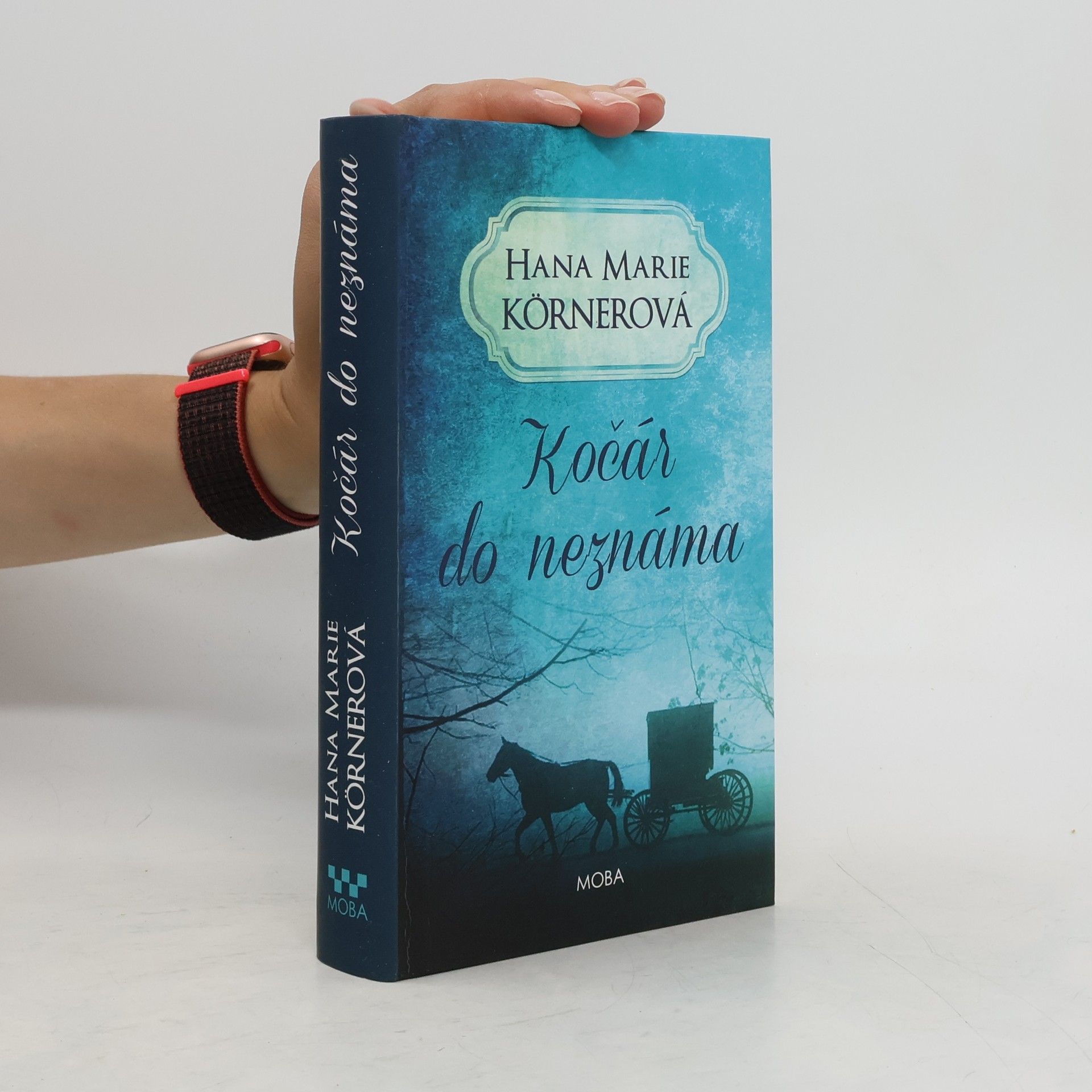 Hana Marie Körnerová Kočár do neznáma
