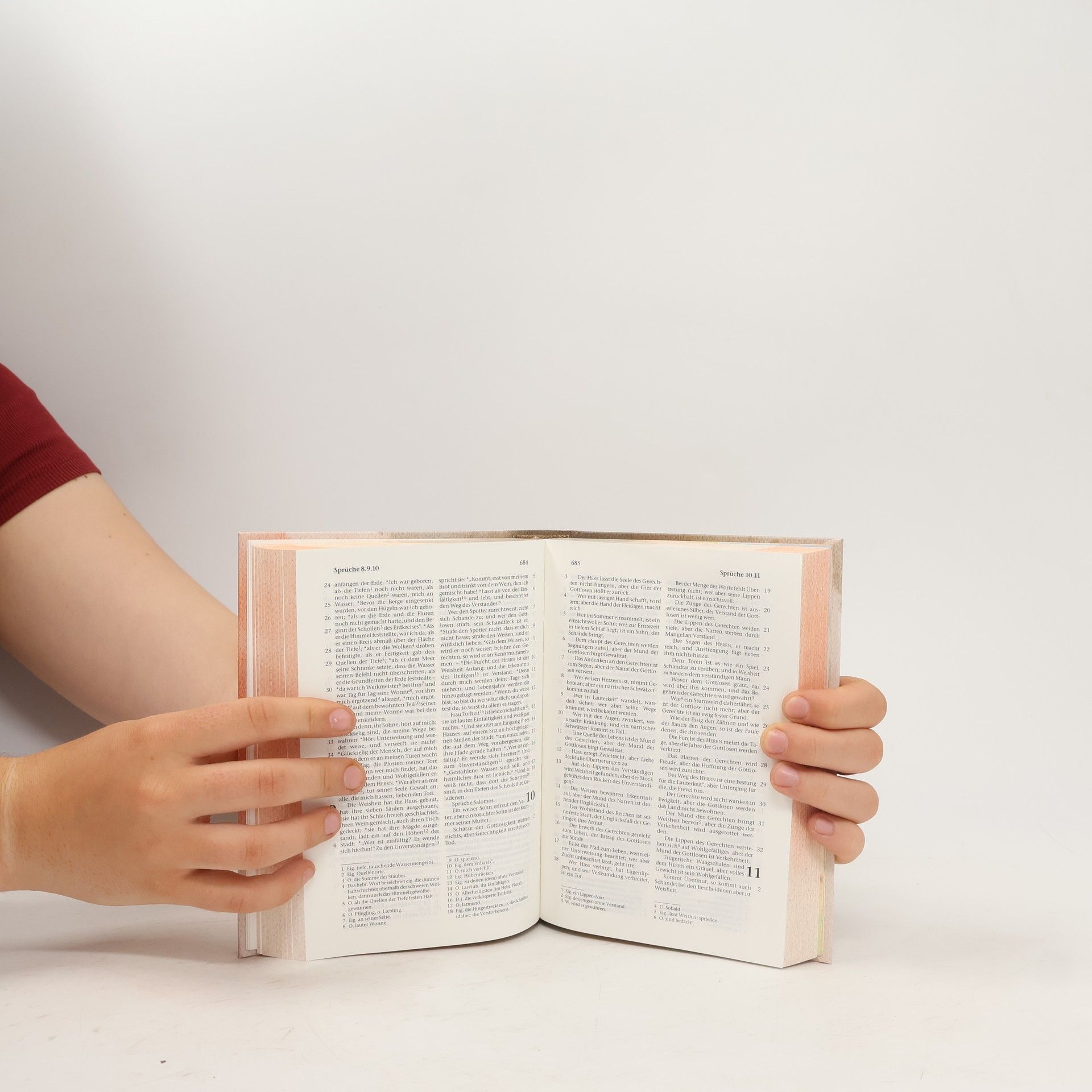 Autorenkollektiv Die Bibel. Dein Wort ist Wahrheit