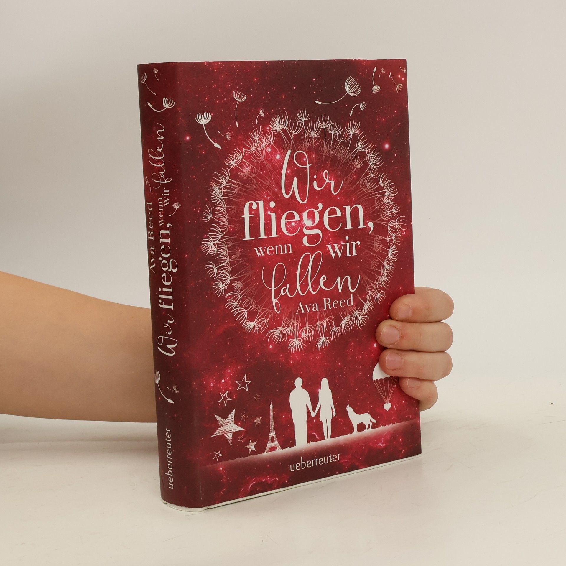 Ava Reed Wir fliegen, wenn wir fallen