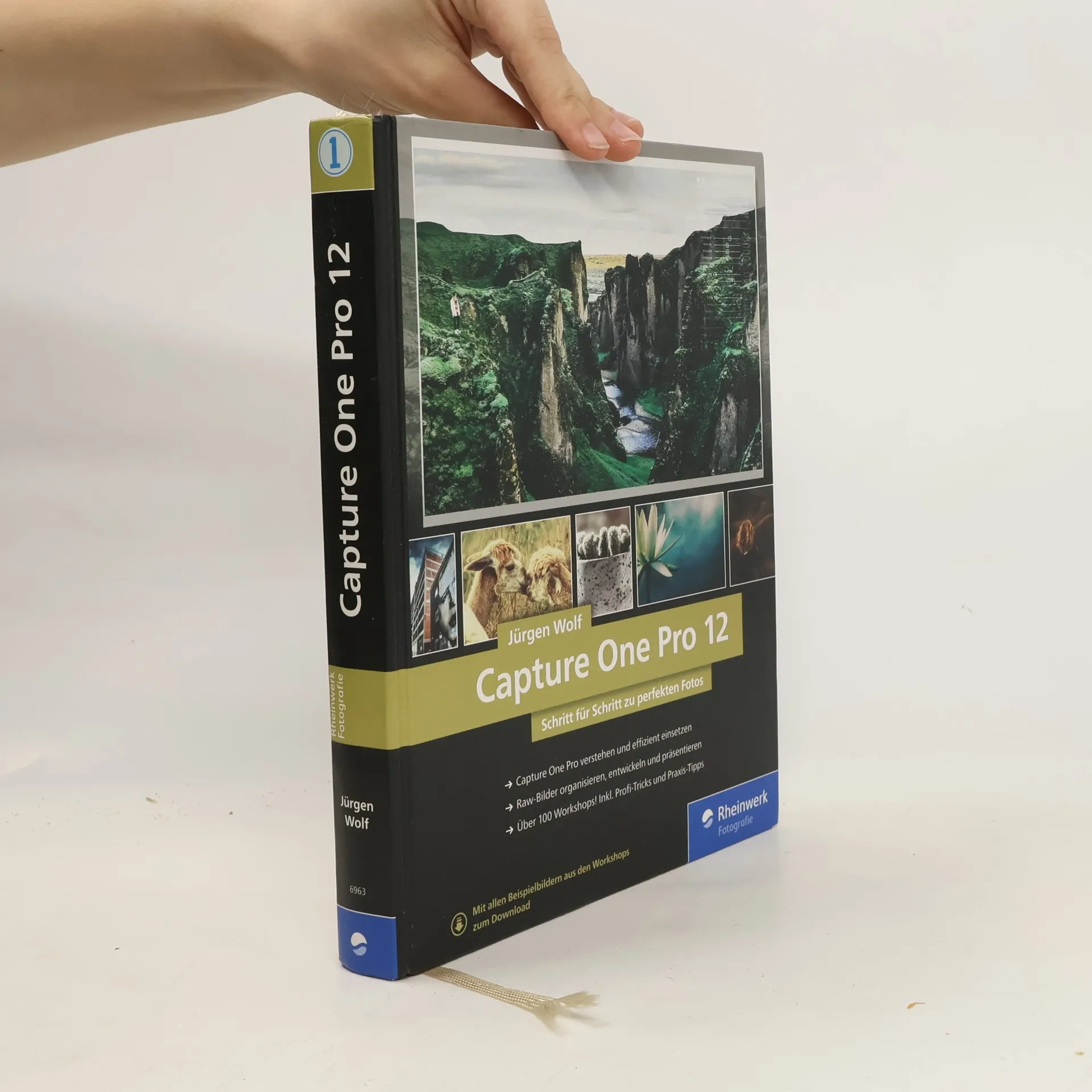 Capture One Pro 12 | Book | Jürgen Wolf | DE