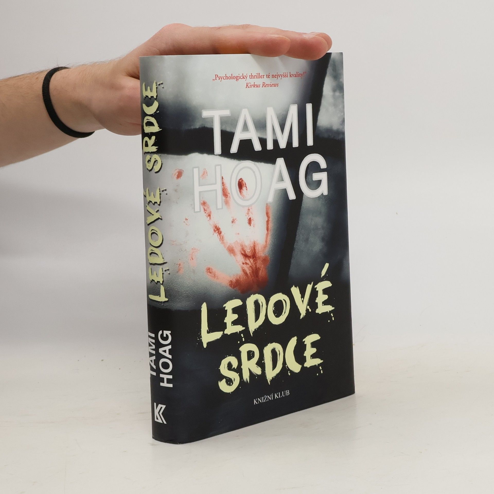 Tami Hoag Ledové srdce