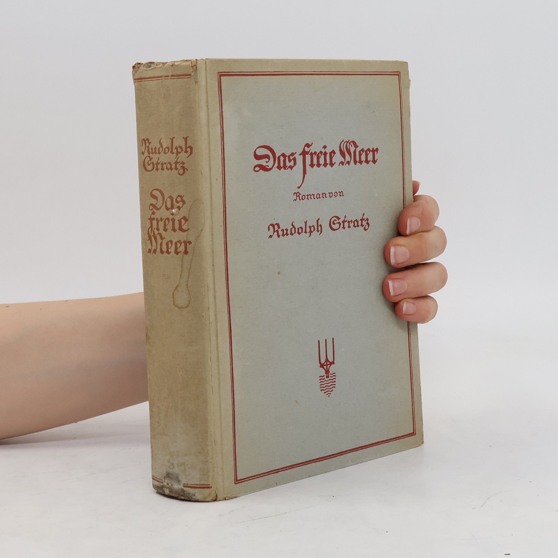 Rudolf Stratz Das Freie Meer