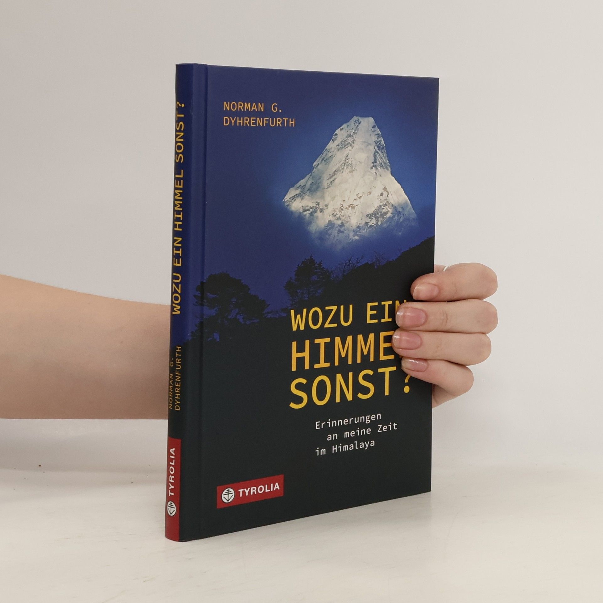 Norman Dyhrenfurth Wozu ein Himmel sonst?