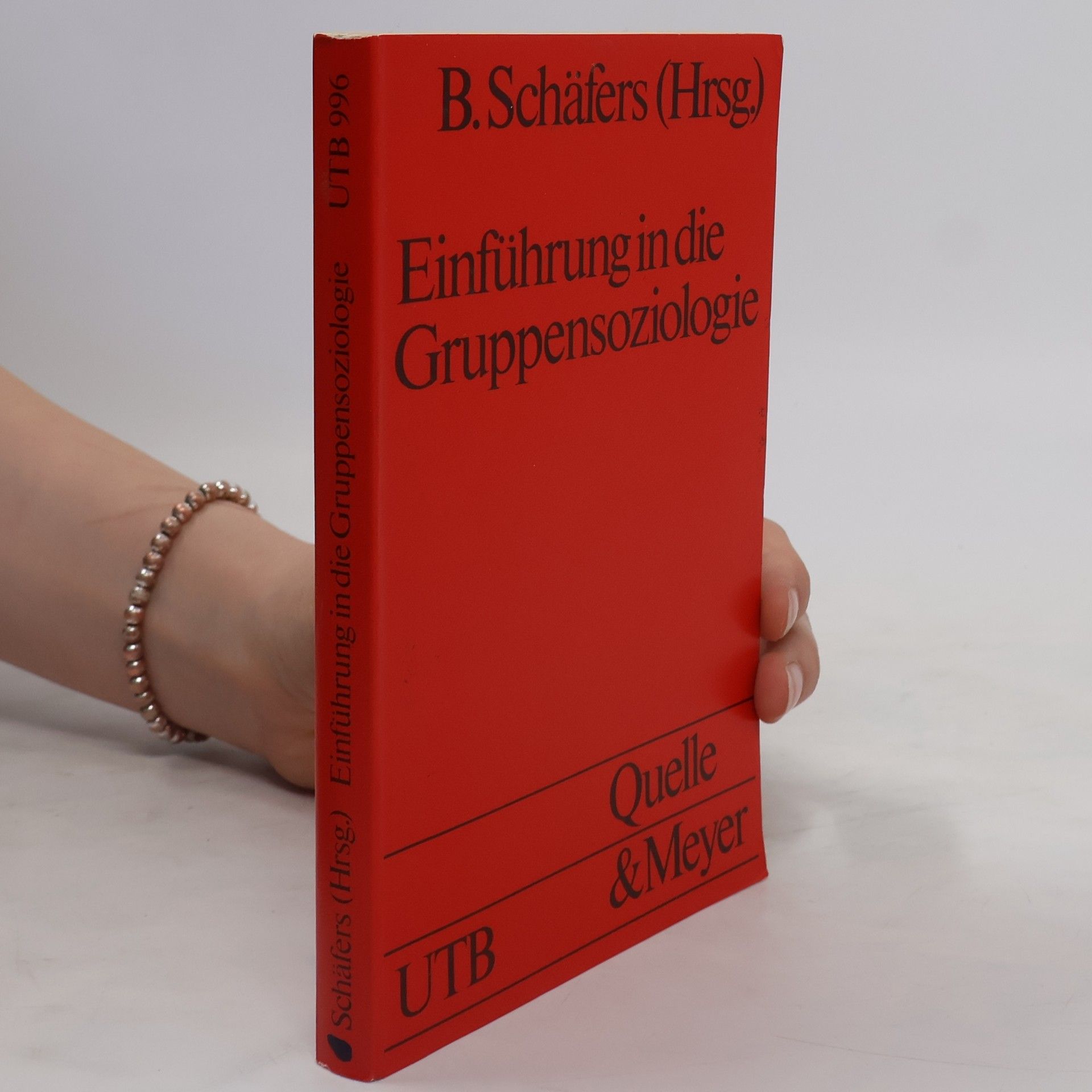 Bernhard Schäfers Einführung in die Gruppensoziologie