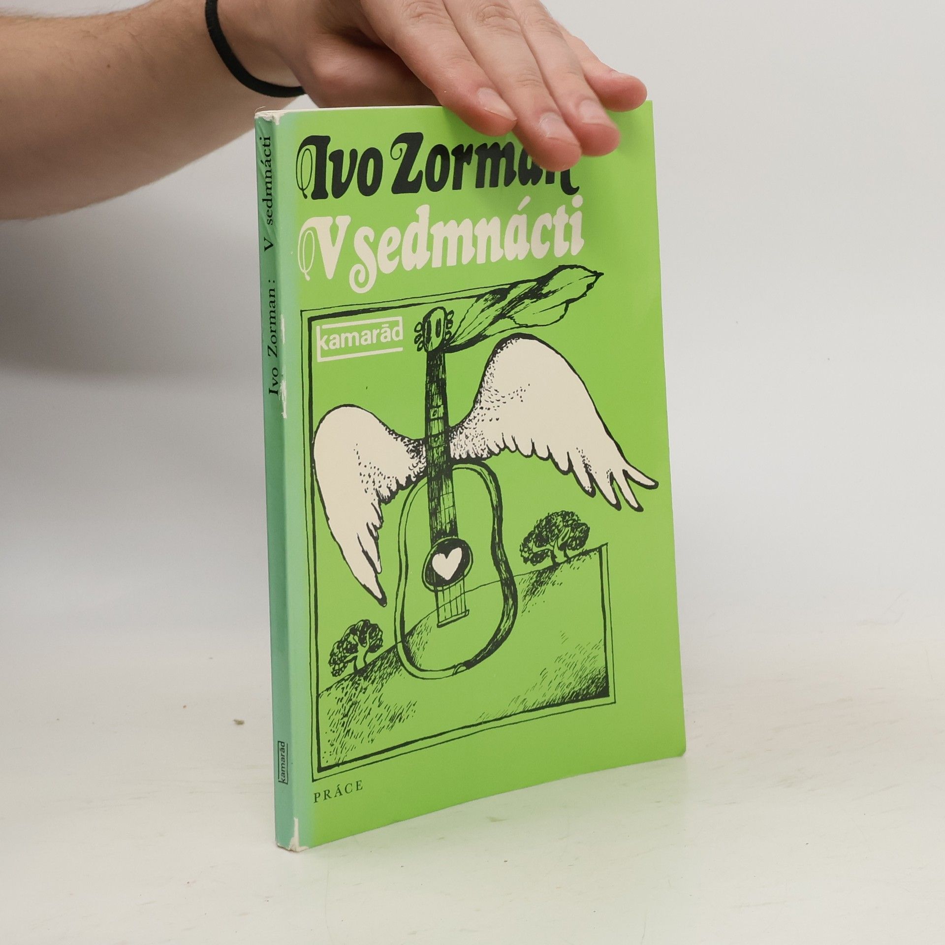 Ivo Zorman V sedmnácti