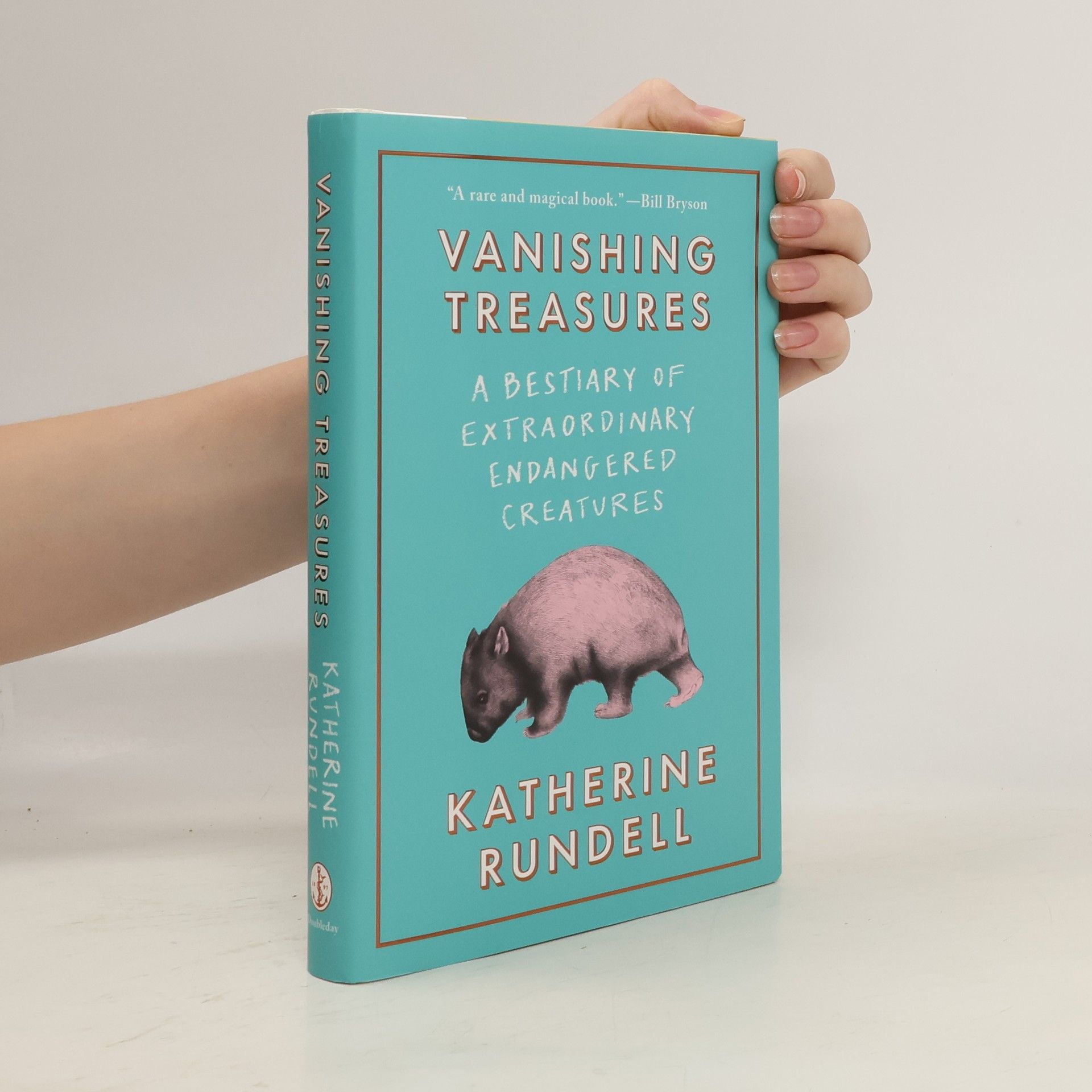 Katherine Rundell Vanishing Treasures
