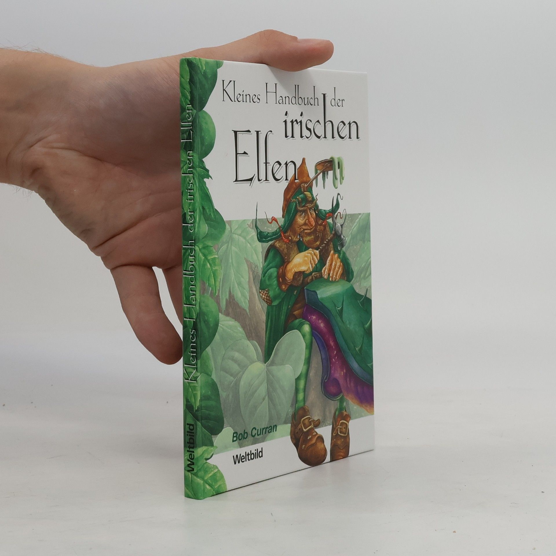Bob Curran Kleines Handbuch der irischen Elfen
