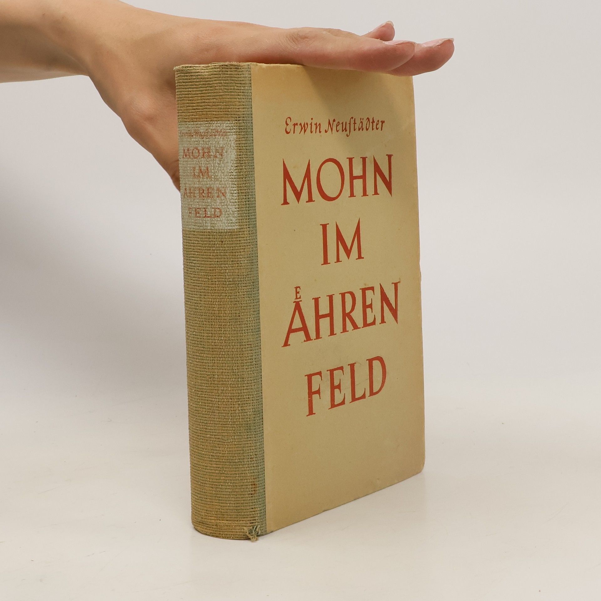 Erwin Neuftäser Mohn im Ahren feld