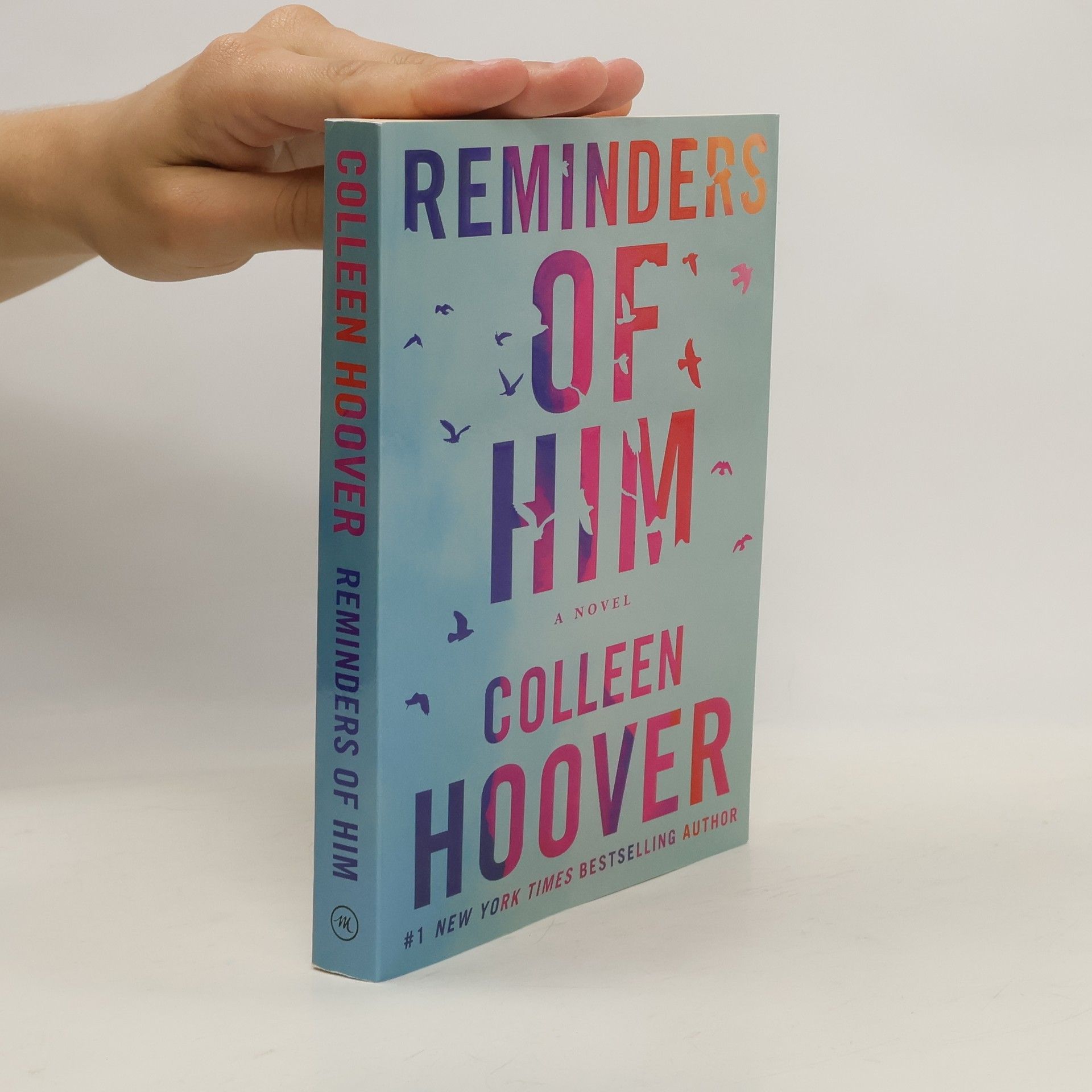 Colleen Hoover Reminders of him