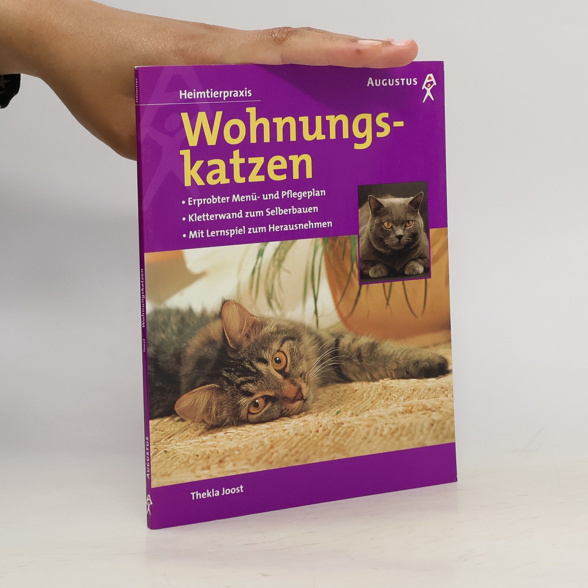 Thekla Joost Wohnungskatzen