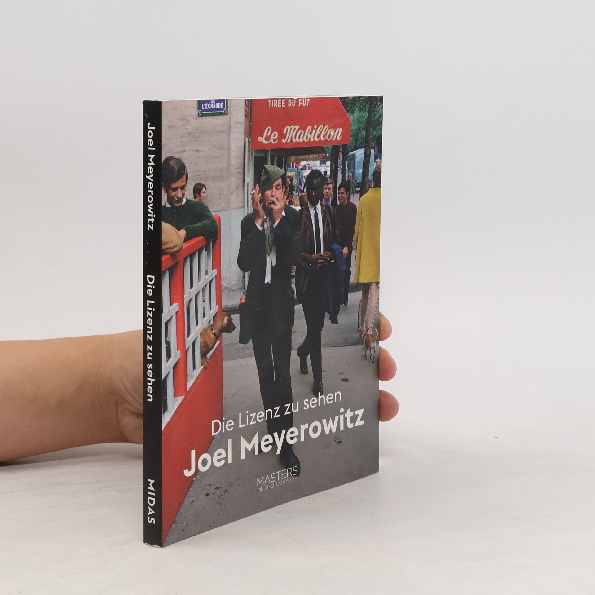 Joel Meyerowitz Lizenz zu sehen: Joel Meyerowitz