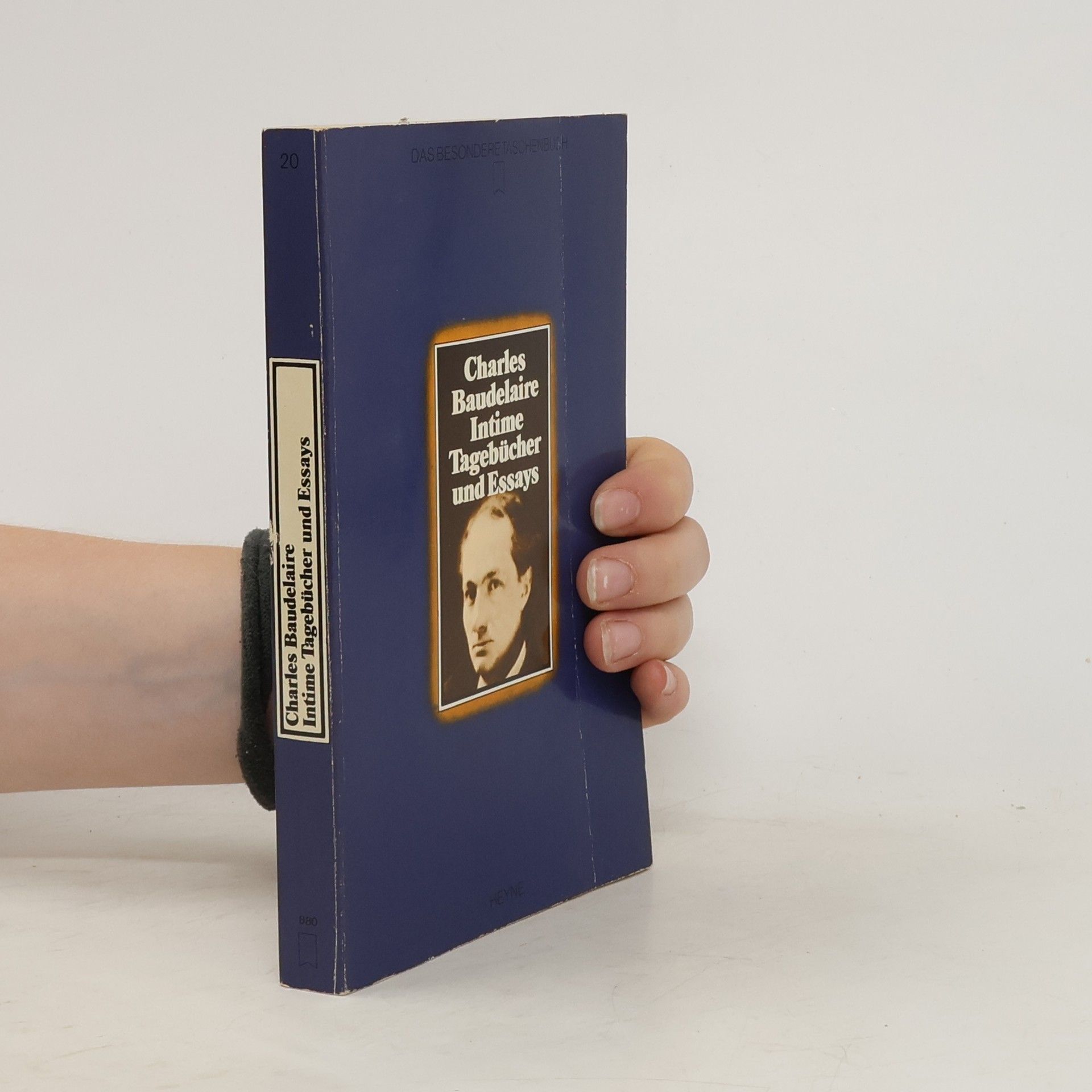 Charles Baudelaire Intime Tagebücher und Essays