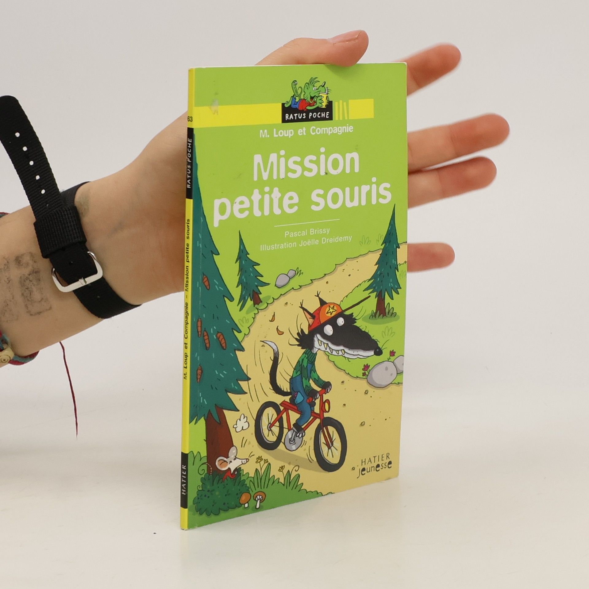 Pascal Brissy Mission petite souris