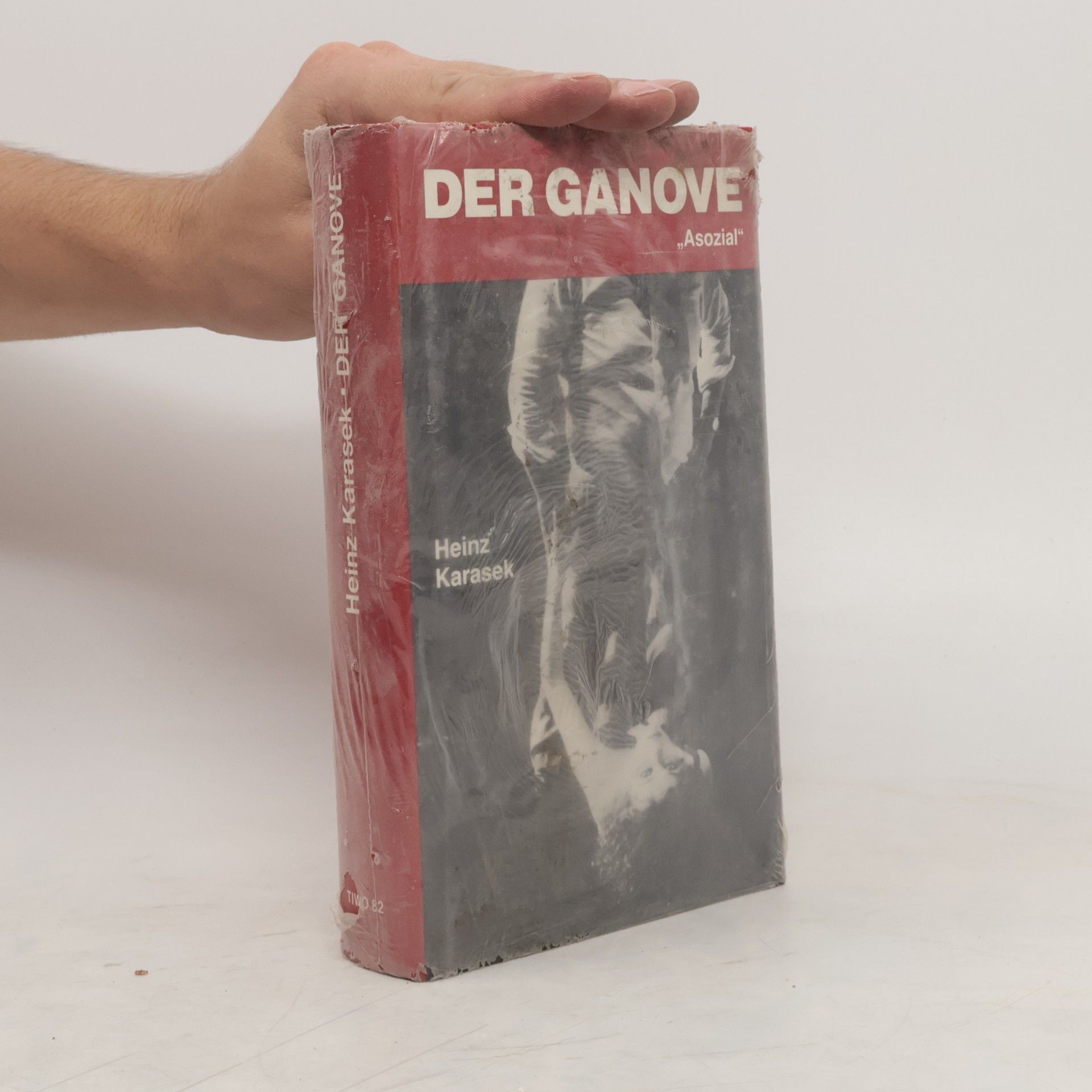 Heinz Karasek Der Ganove