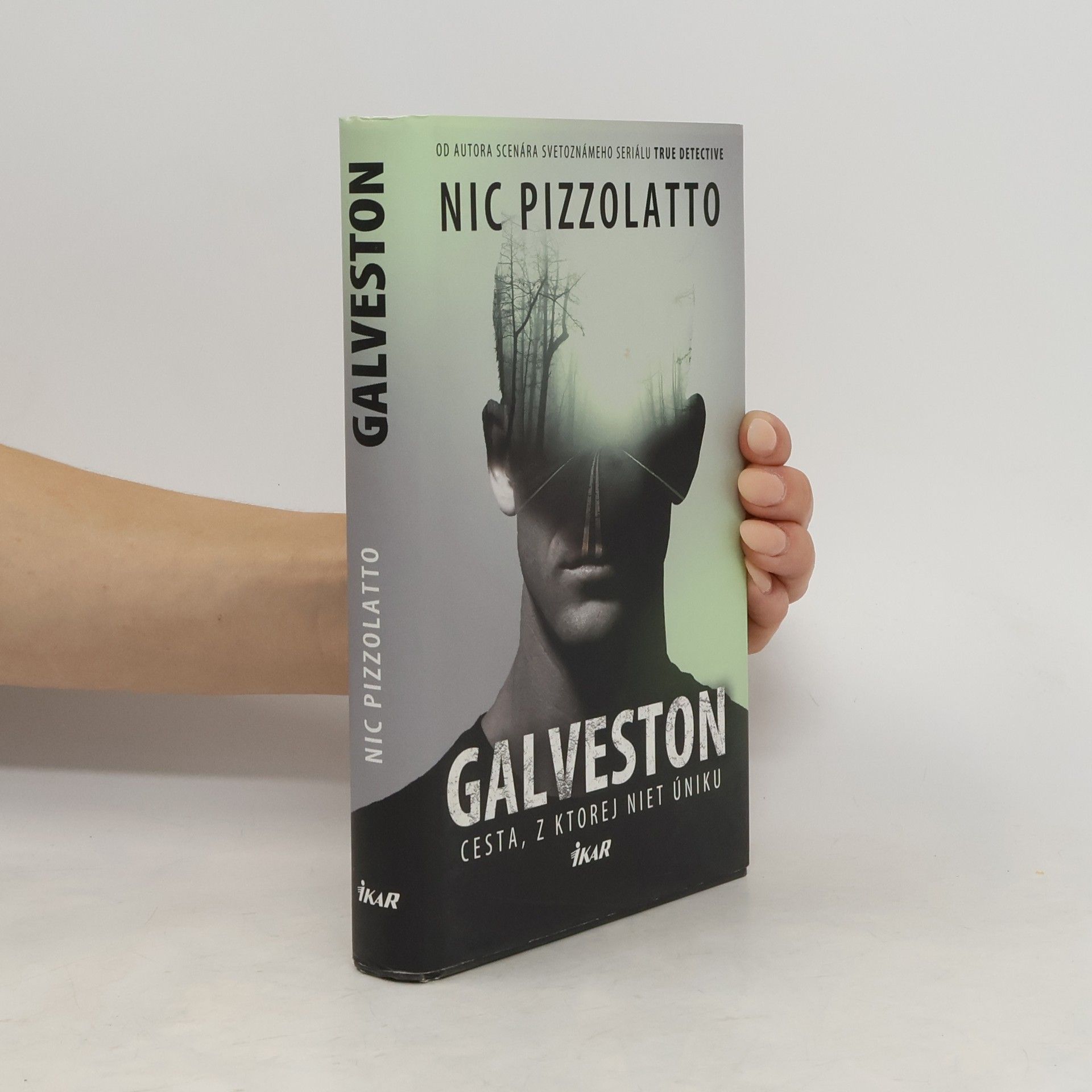 Nic Pizzolatto Galveston