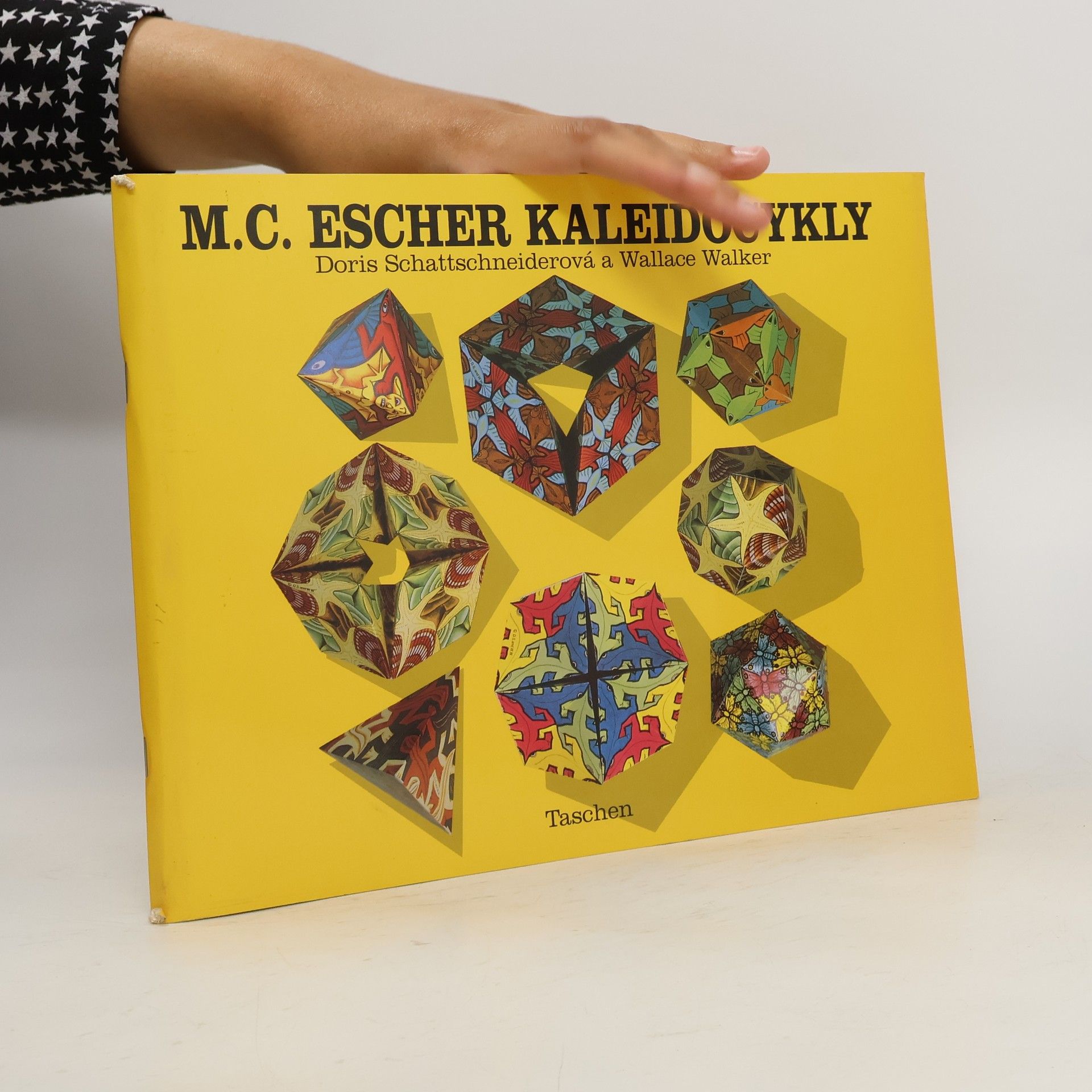 Doris Schattschneider M.C. Escher kaleidocykly